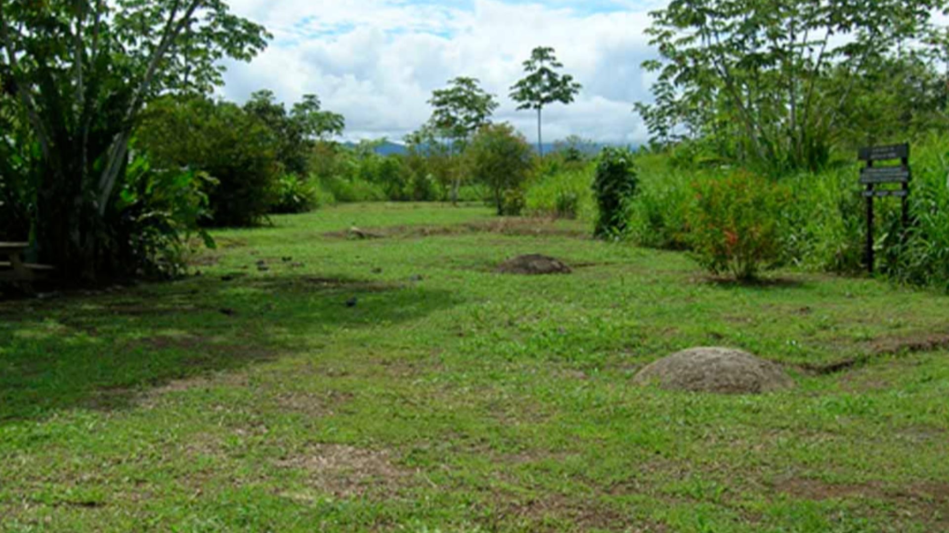 File:Farm 6 archaeological site, Costa Rica.jpg