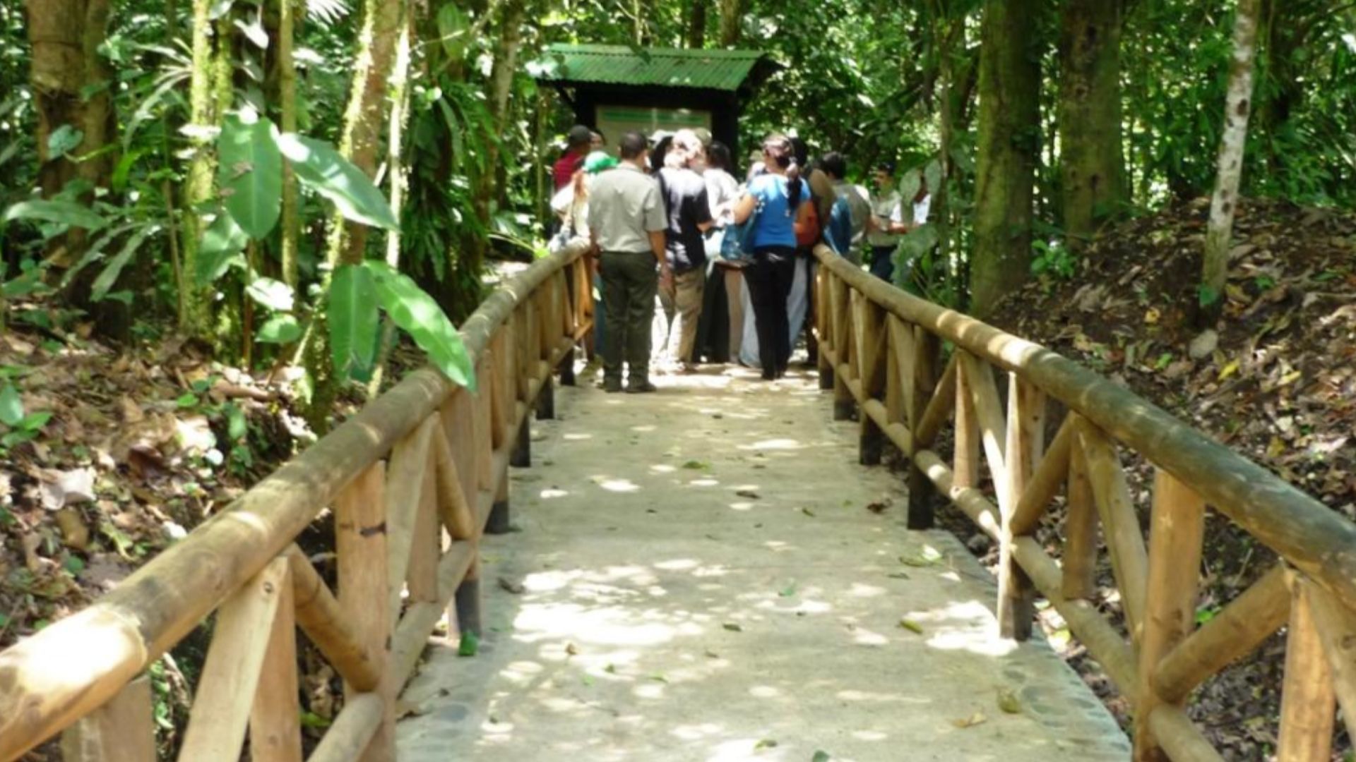 File:Senderos en Guayabo.JPG