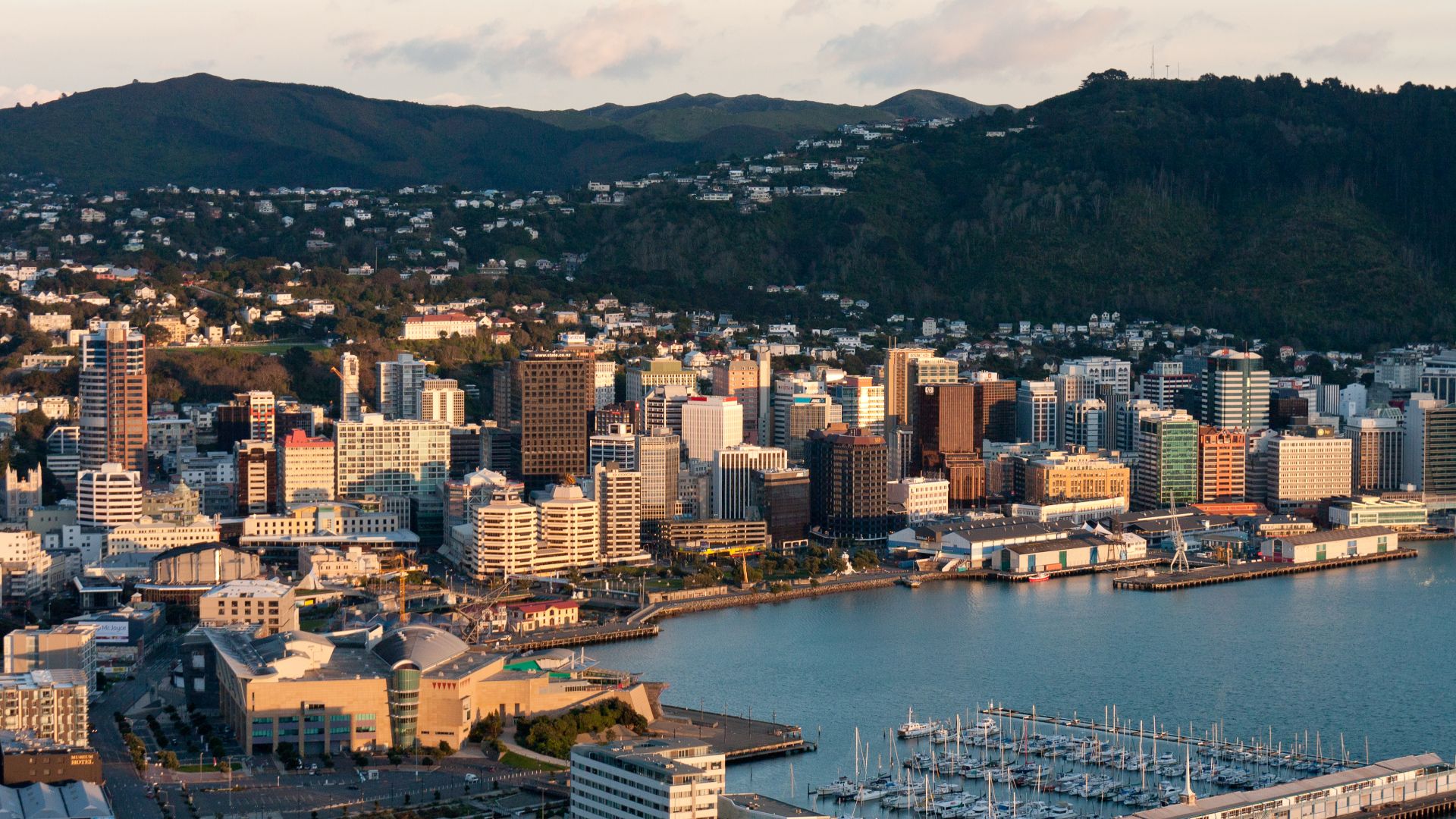 File:Wellington at dawn.jpg