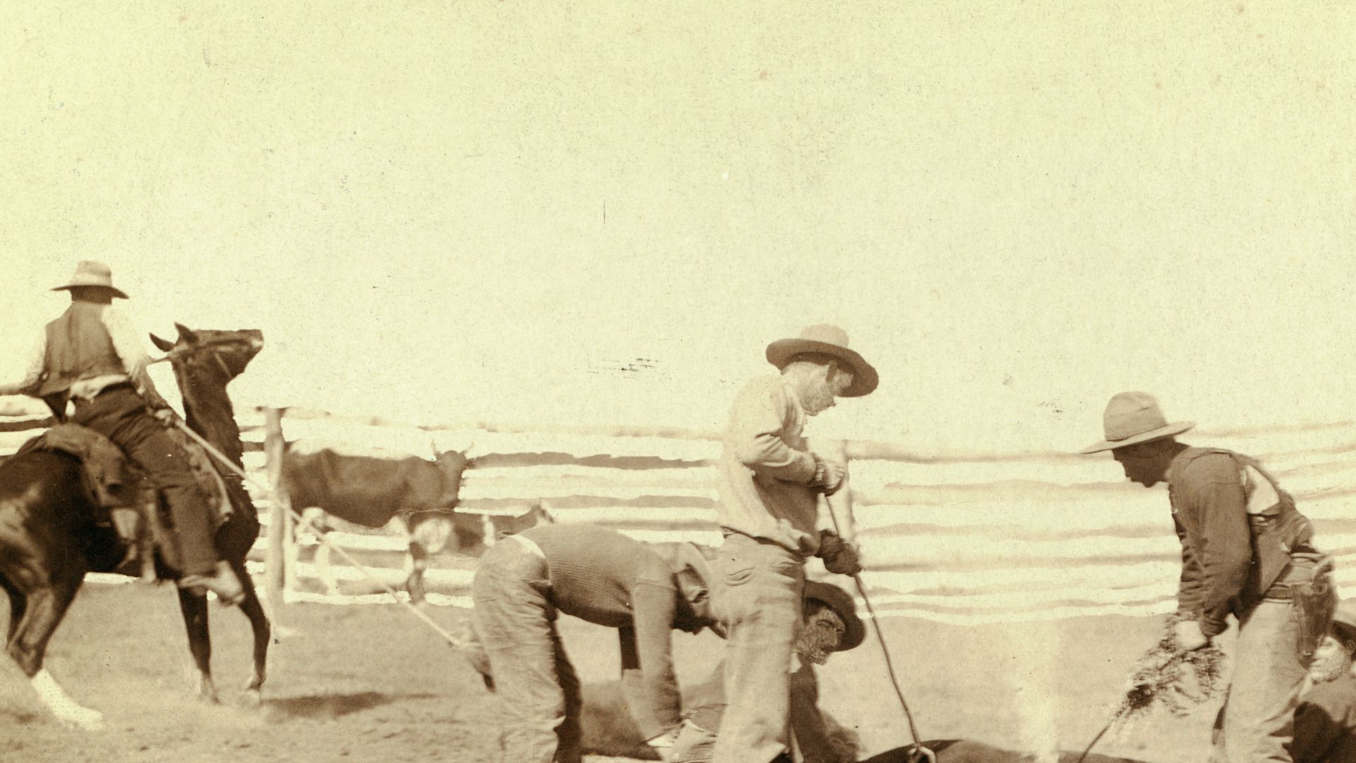 File:Cattle branding (Grabill 1888).jpg