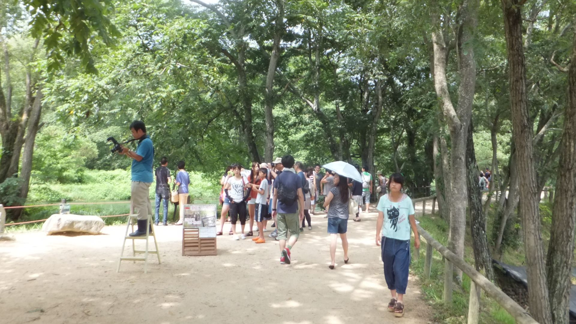 File:Daio Wasabi Farm in 2014-8-14 No,8.JPG