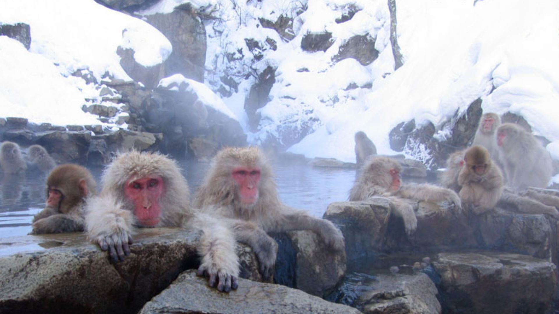 File:Jigokudani hotspring in Nagano Japan 001.jpg