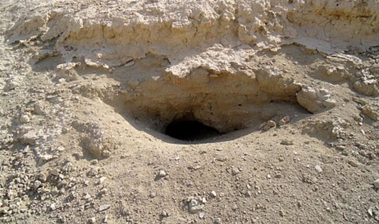 Ghosts Beneath The Sand