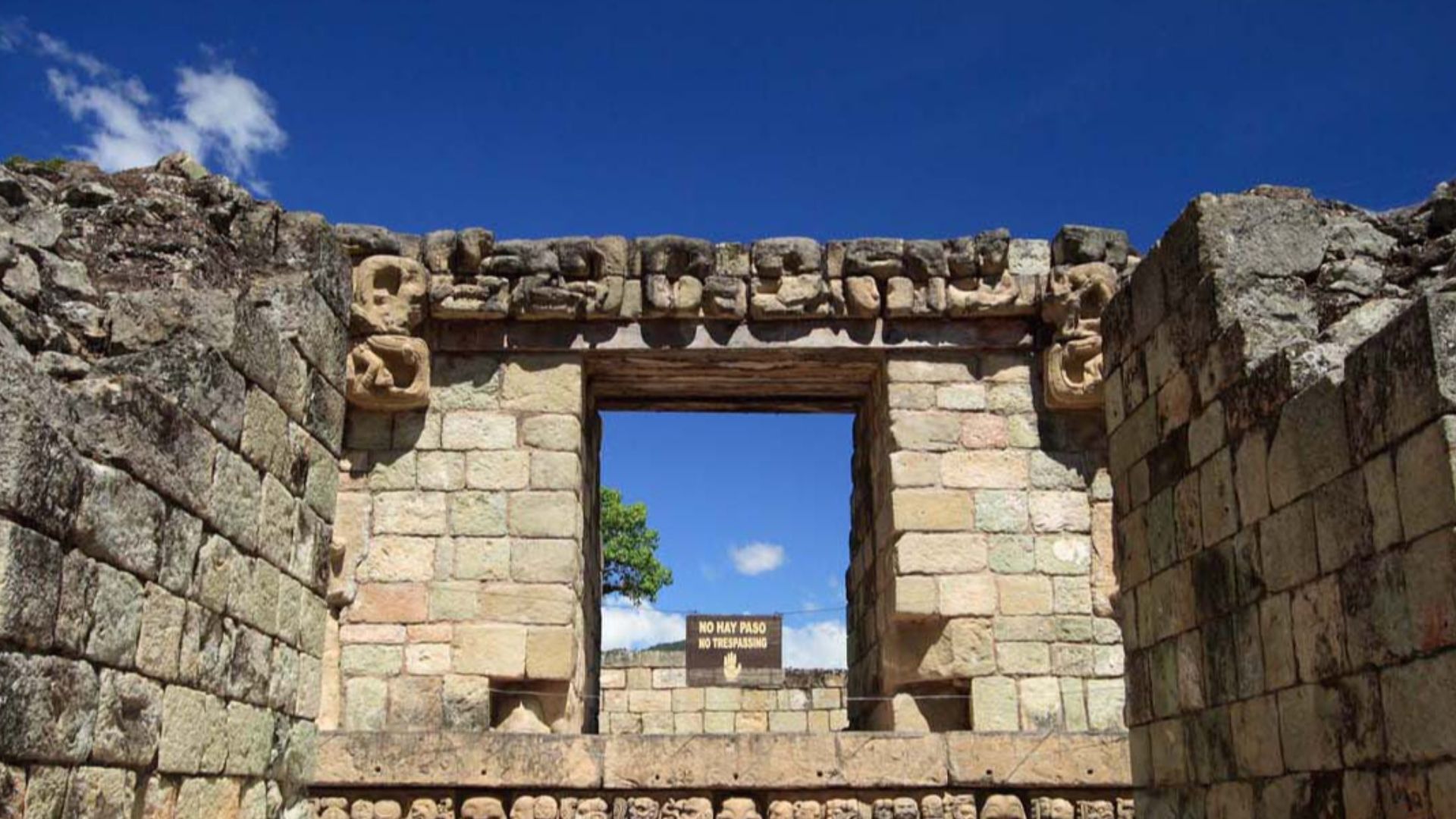 File:CPN STR 22 01.jpg