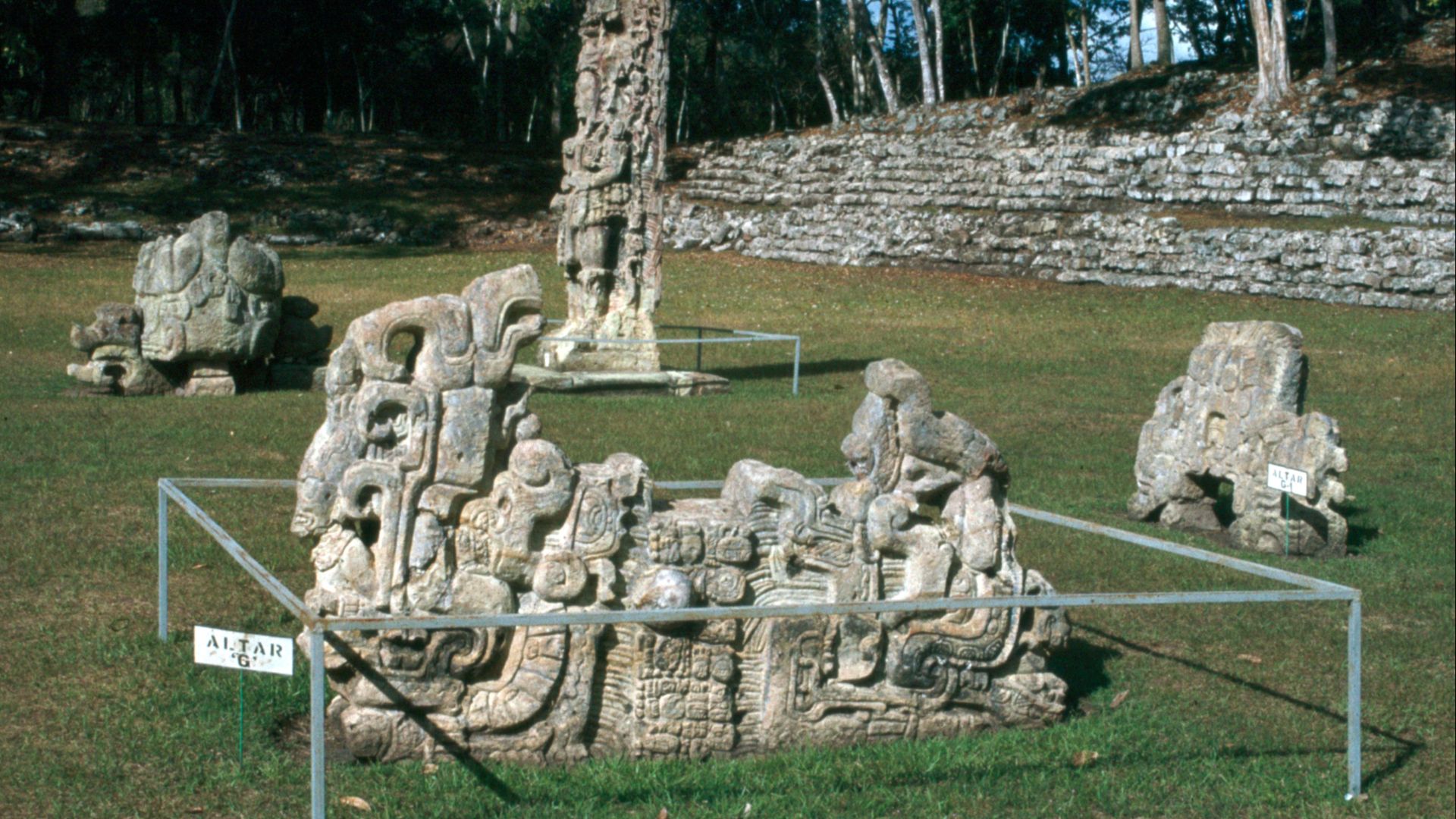 File:Copan-16-Zoomorph-Altar G-1980-gje.jpg