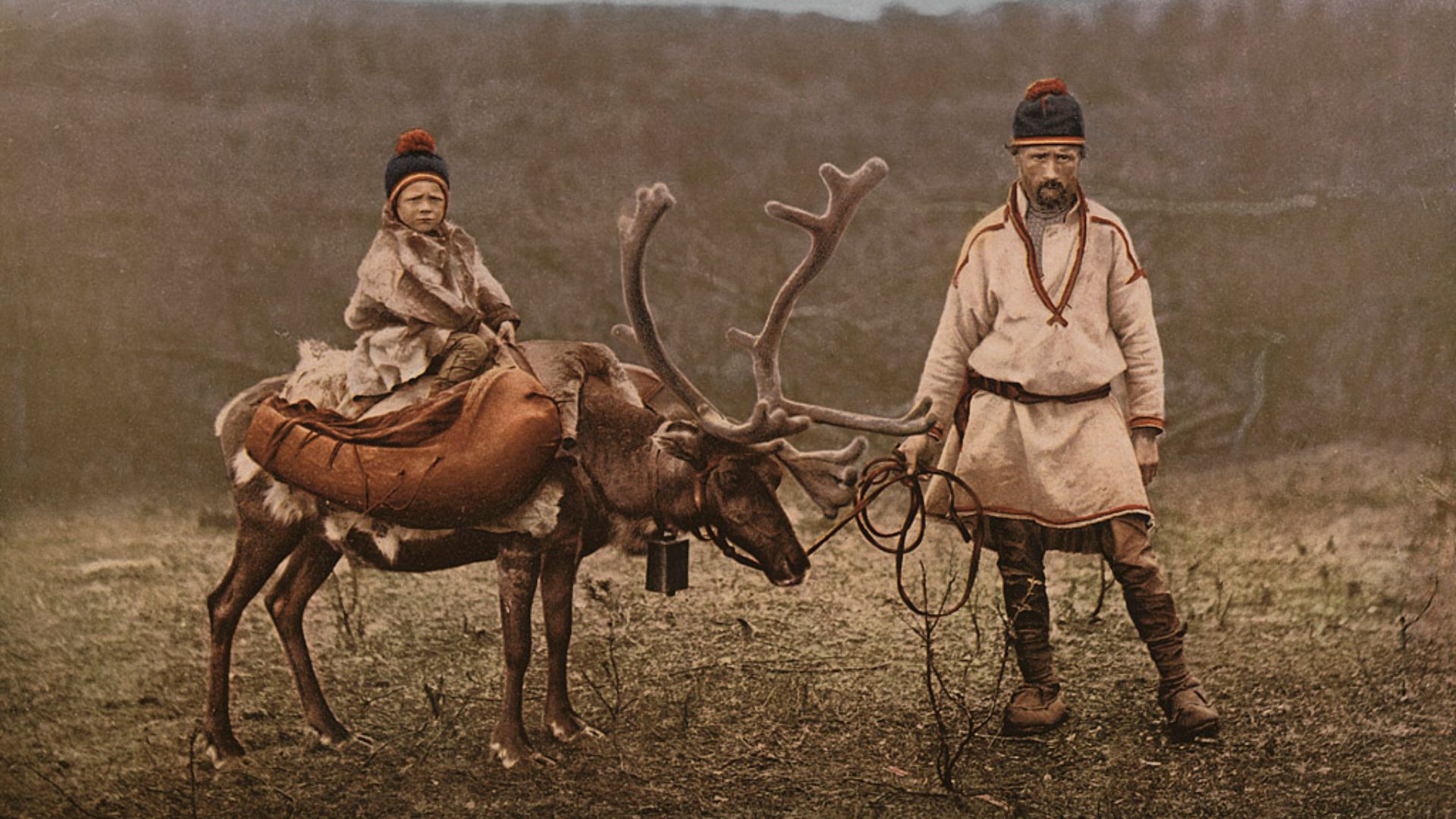 File:Lapper og Reinsdyr.jpg