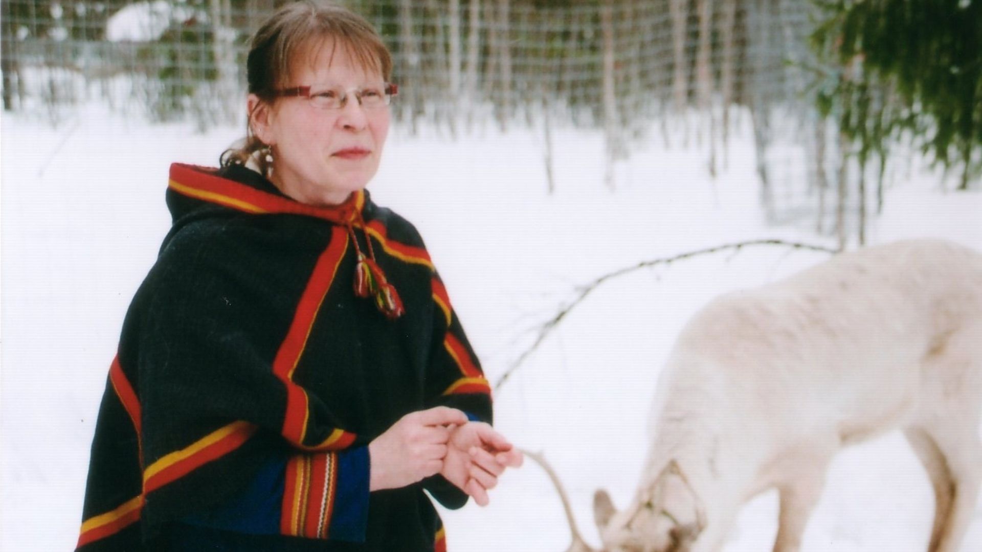File:Sami woman with white reindeer.jpg