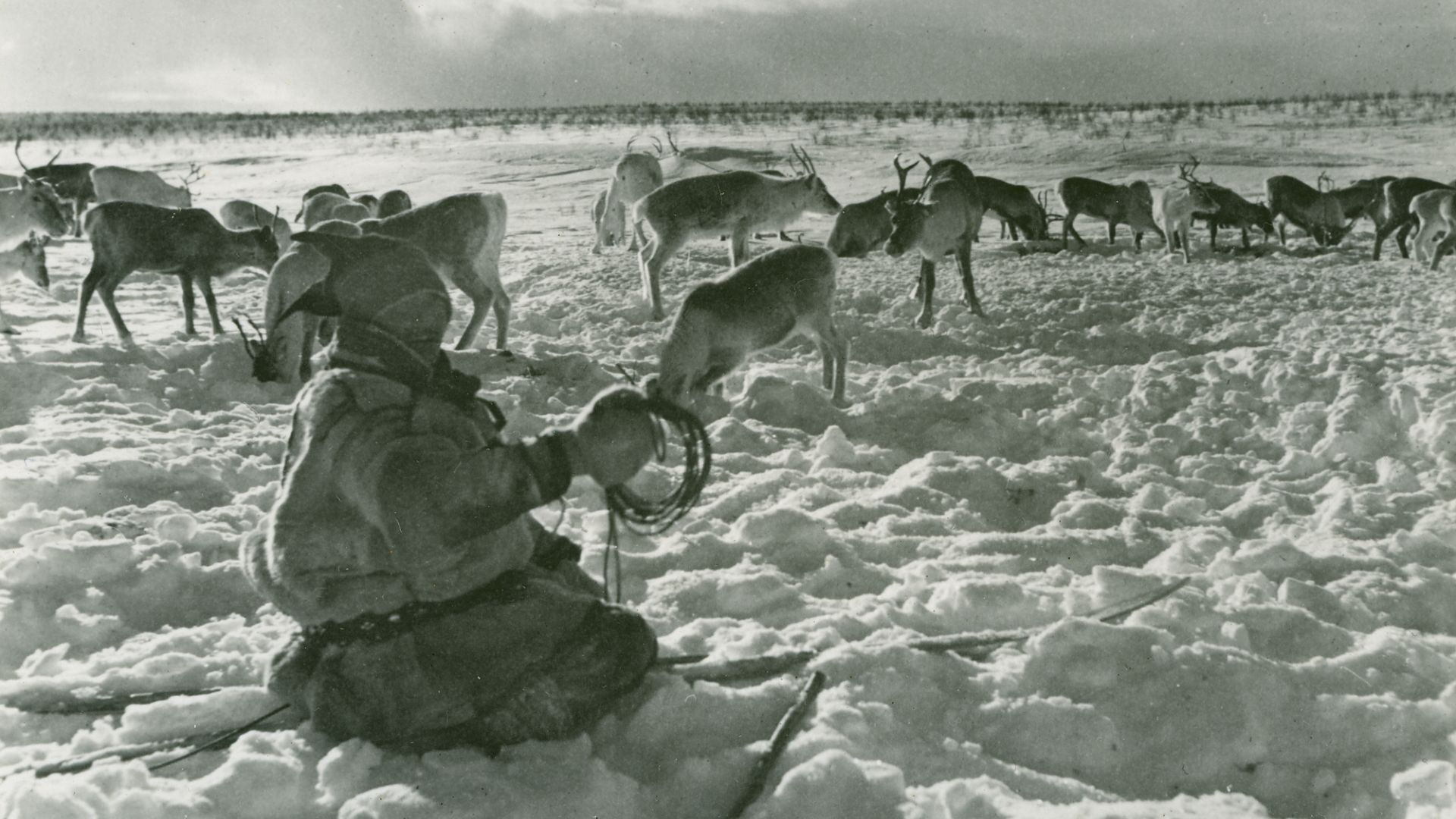 File:Sami people north of Arctic Circle, Norway.jpg