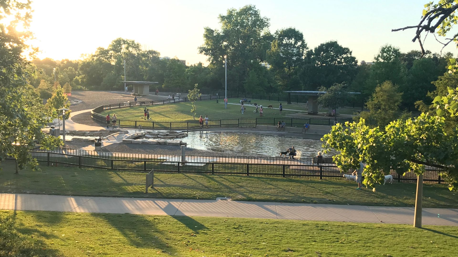 File:Johnny Steele Dog Park.jpg