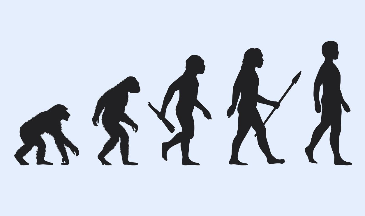 Gettyimages - 1885694143, Human evolution vector illustration - stock illustration Ape evolving from primate to caveman and modern human in black and white flat design