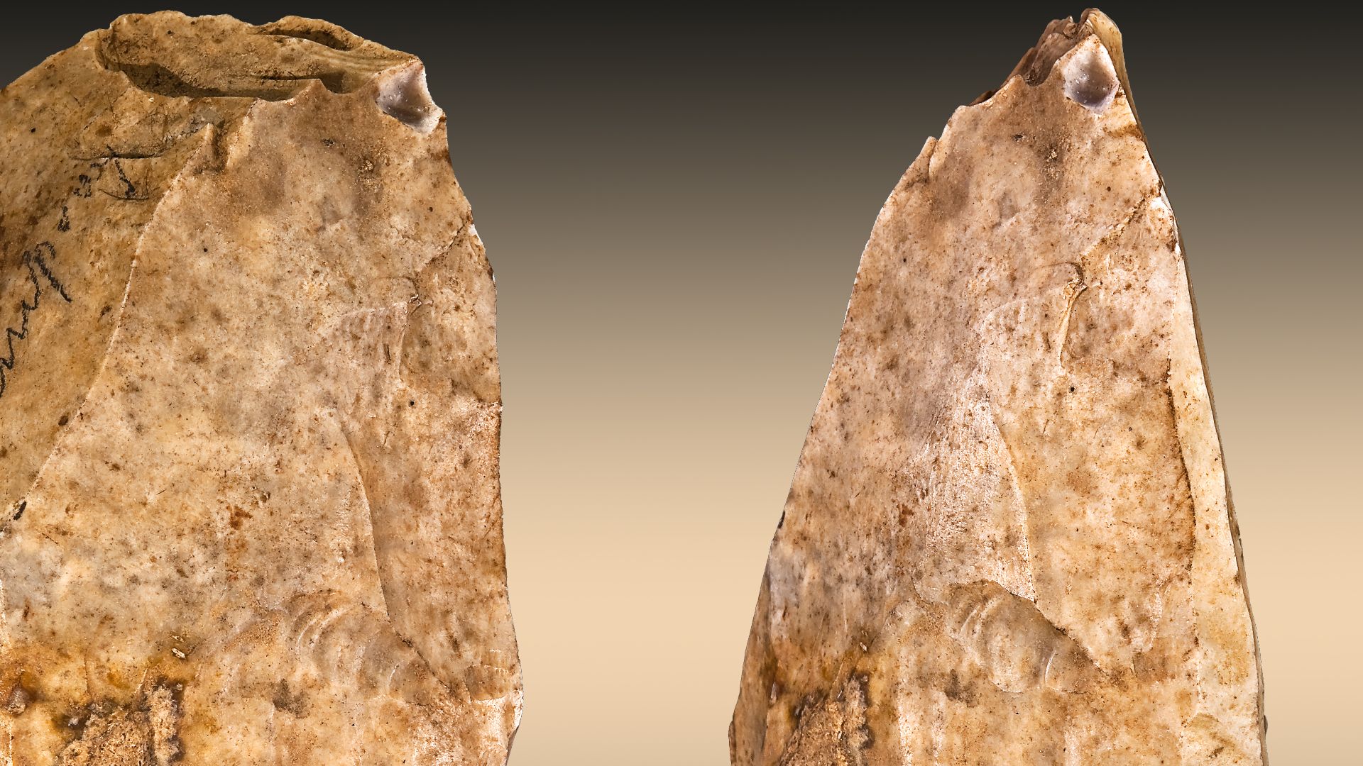 File:Nucleus Brassempouy Global fond.jpg