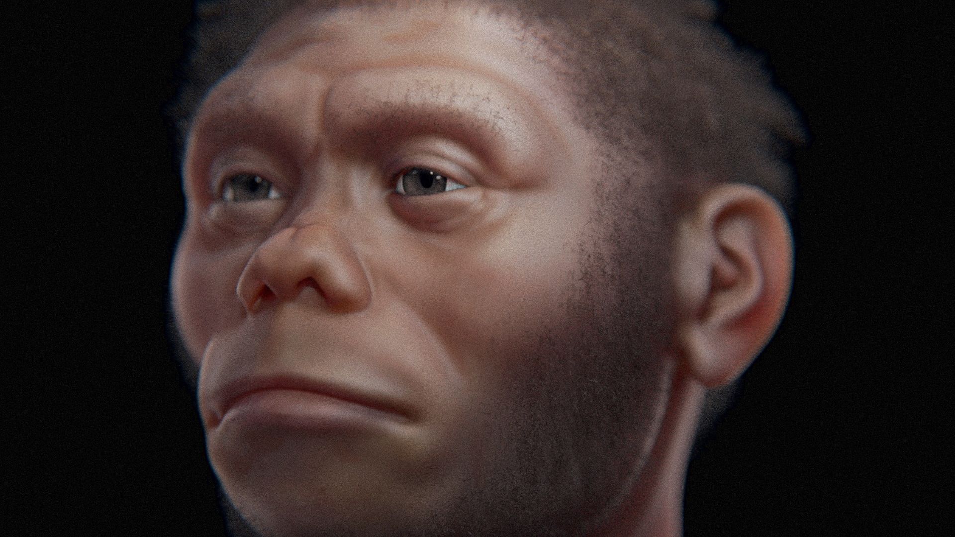 File:Homo floresiensis - facial approximation - color 1.jpg