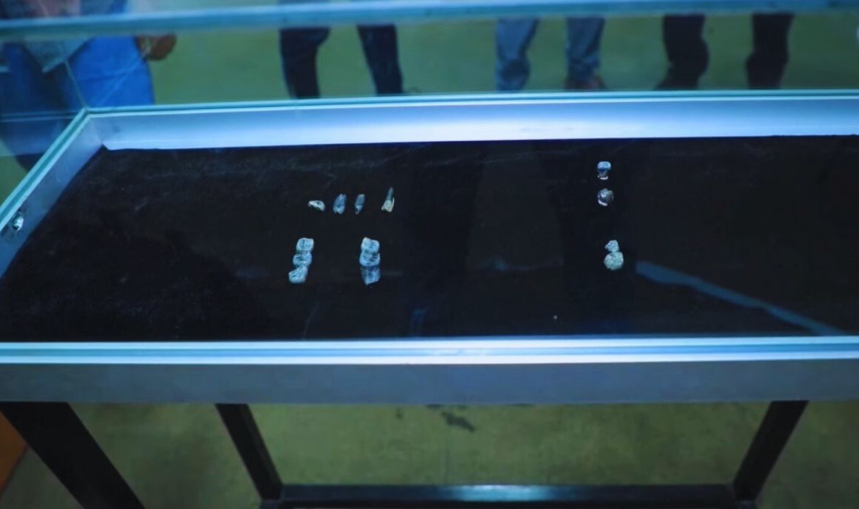 Teeth that shake up human evolution