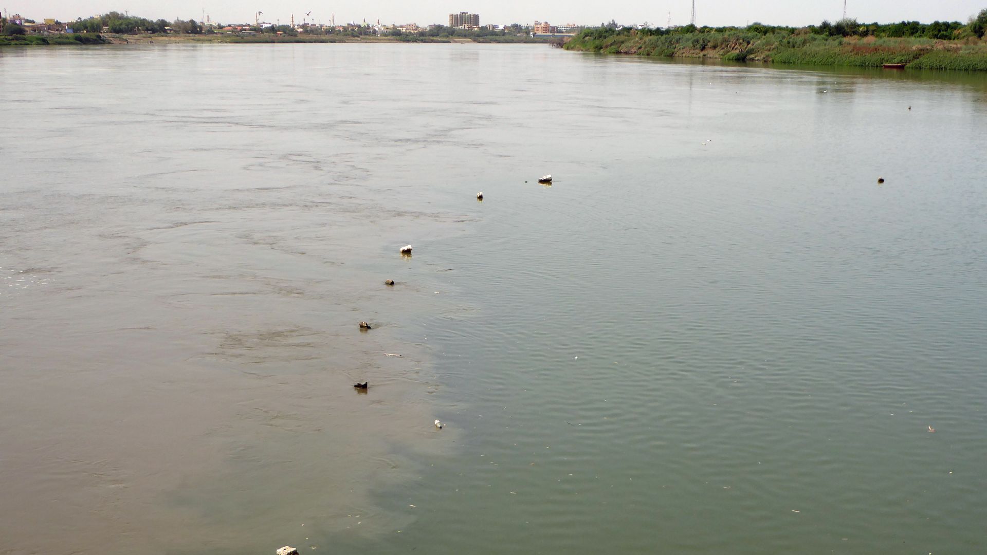File:Confluence of white and blue Nile (33202152834).jpg