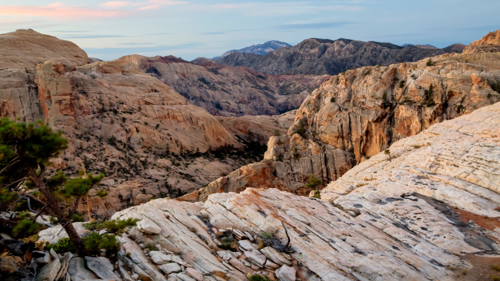 File:Red Rock Canyon National Conservation Area (32016620970).jpg