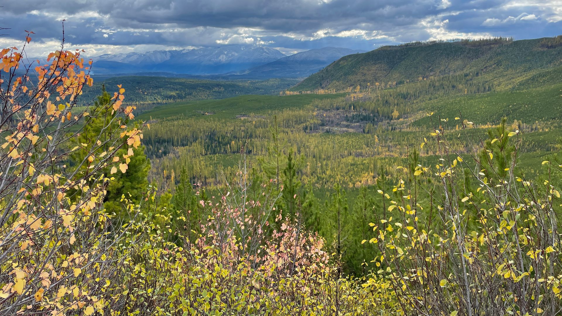 File:Glacier National Park - HCP - October 23, 2022 - 020 - Apgar Lookout Trail.jpg