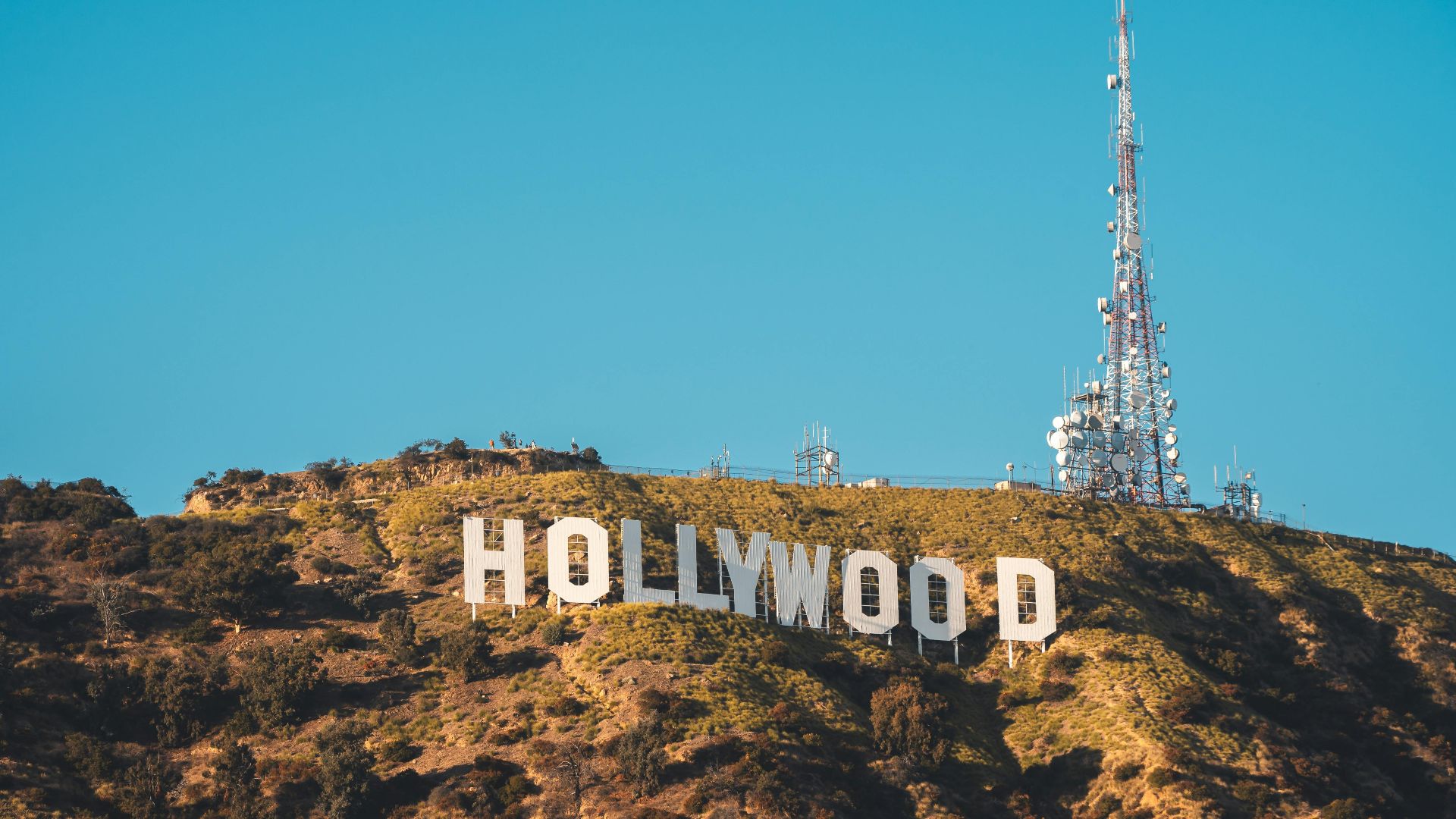 Willian Justen de Vasconcellos