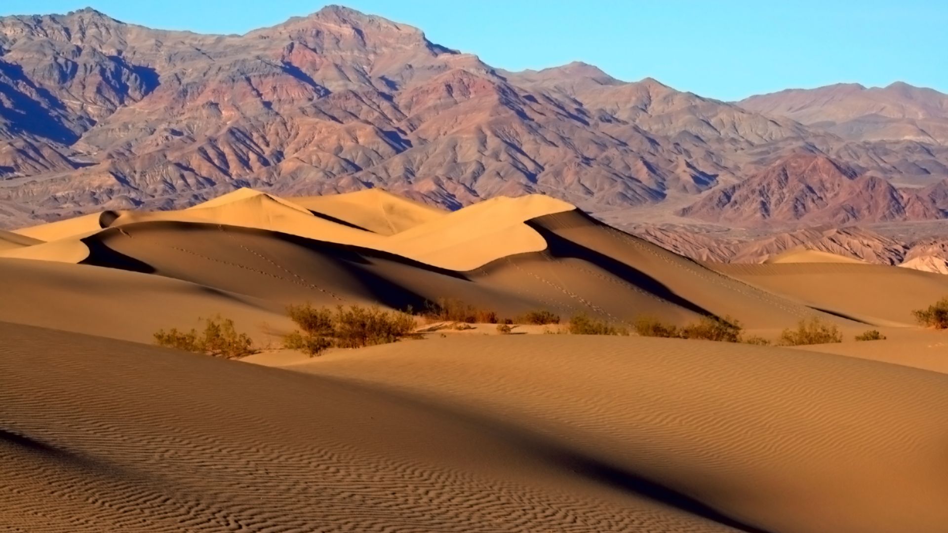 File:Mesquite Sand Dunes in Death Valley.jpg