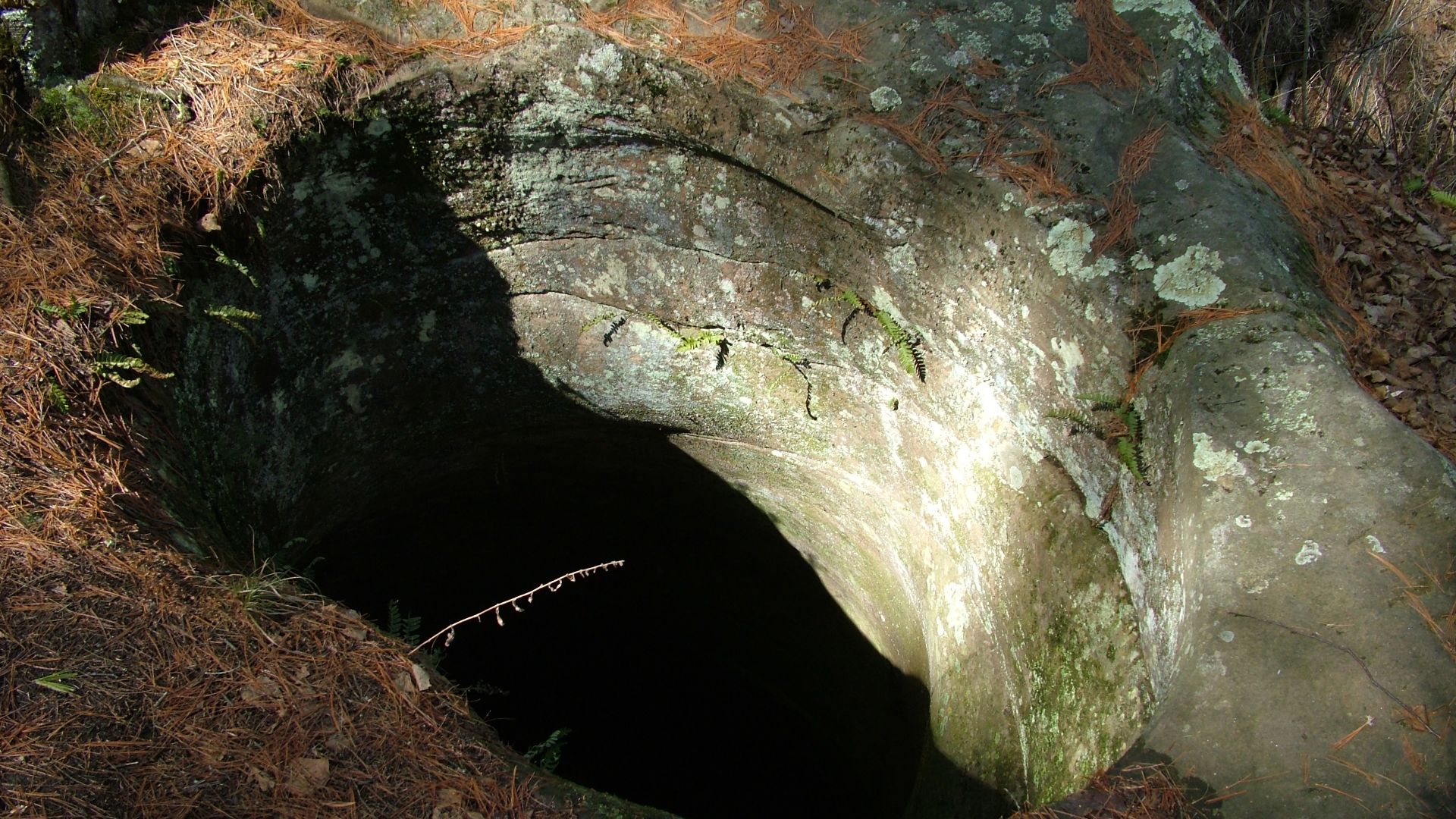 File:BanningStatePark arf (5).JPG