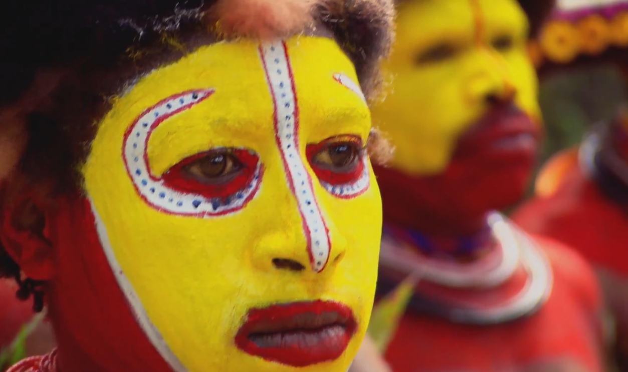 Medicine from the Forest