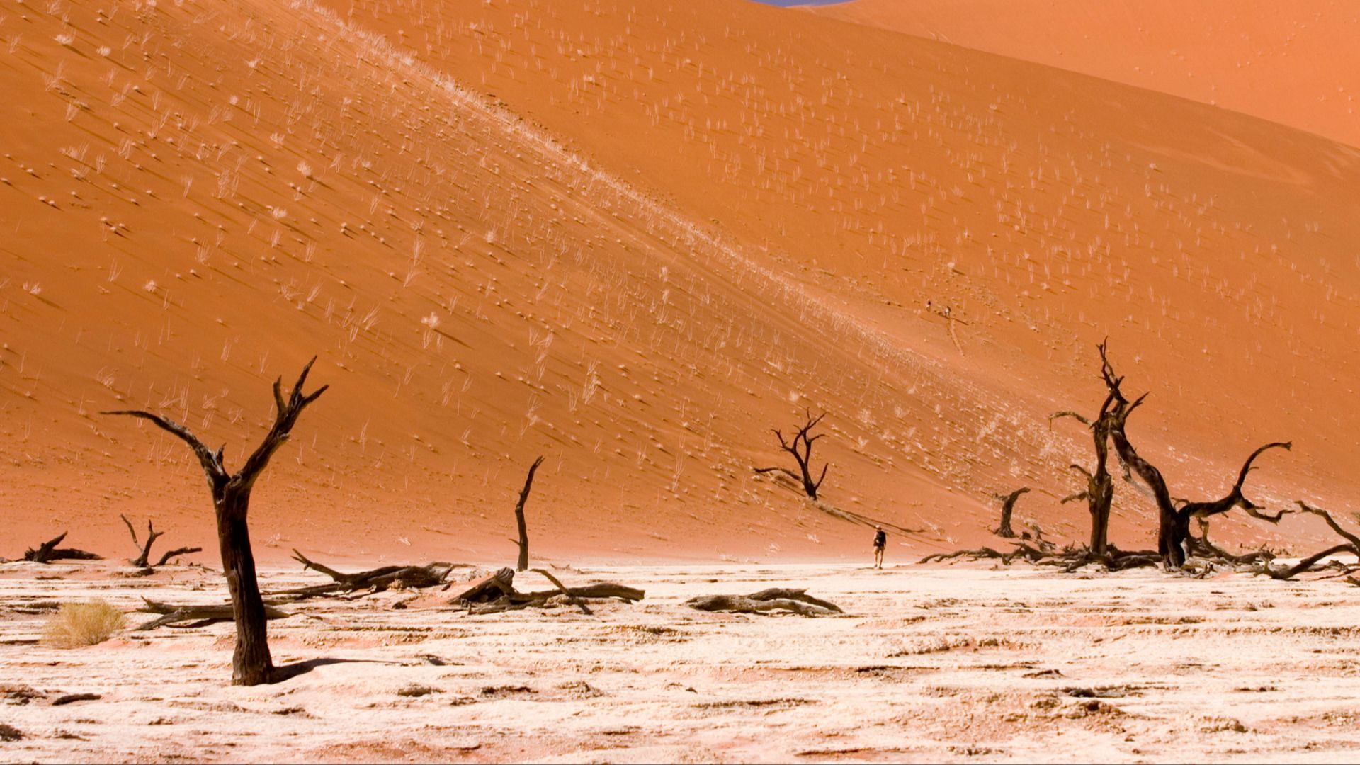 “The Seven Words You Can Never Say On Television”