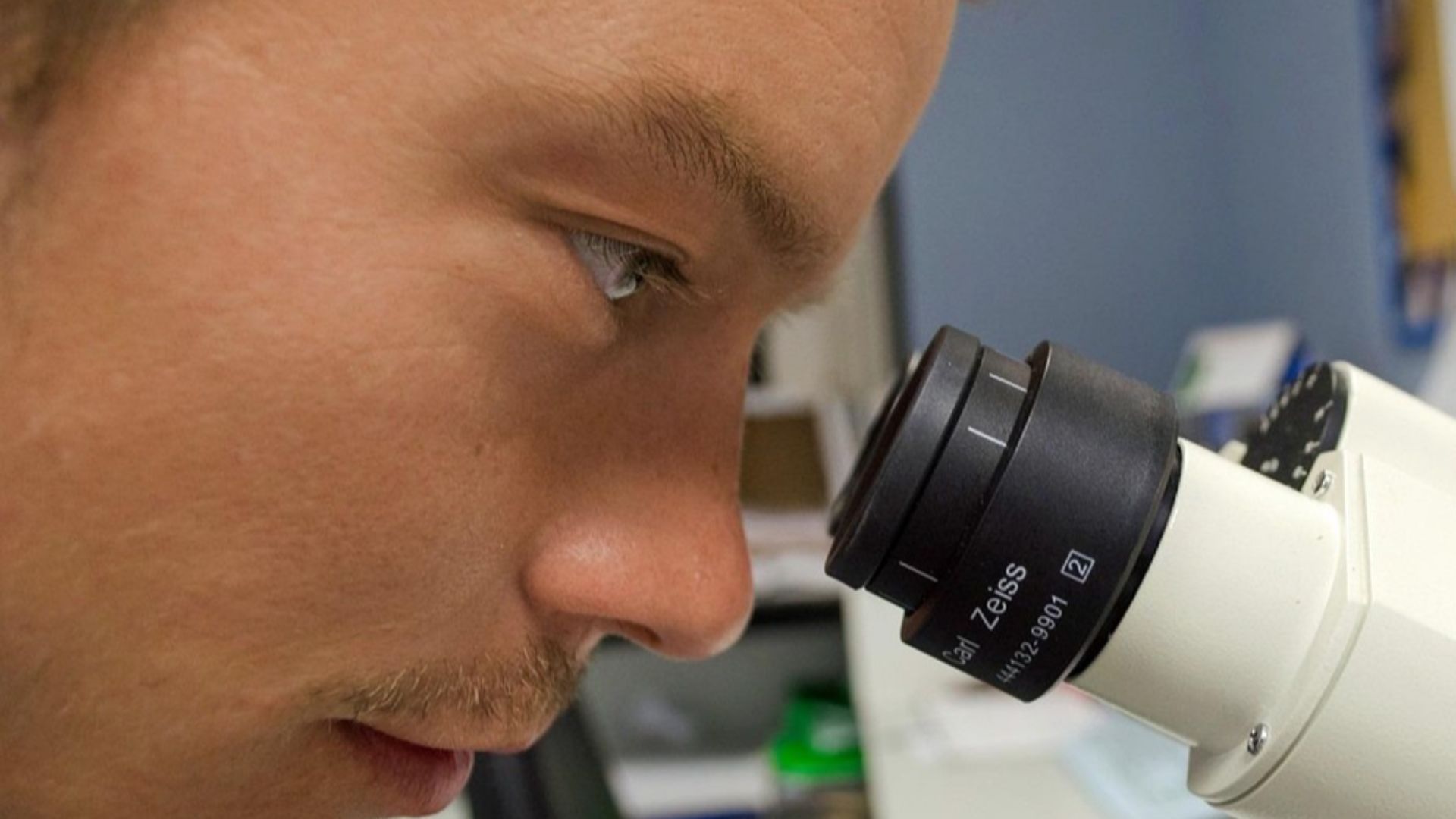 PublicDomainPictures