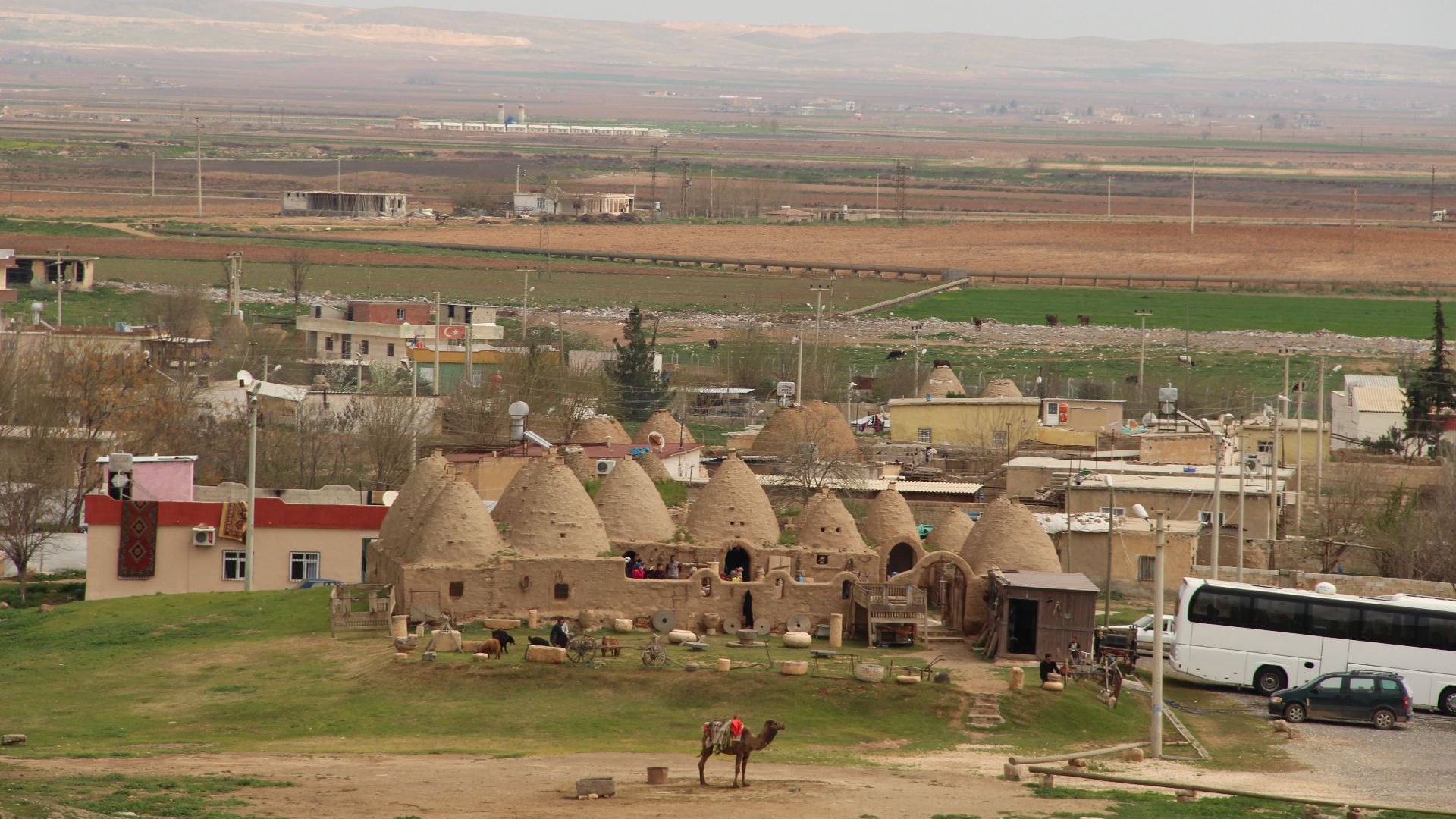 File:Harran 2015.jpg