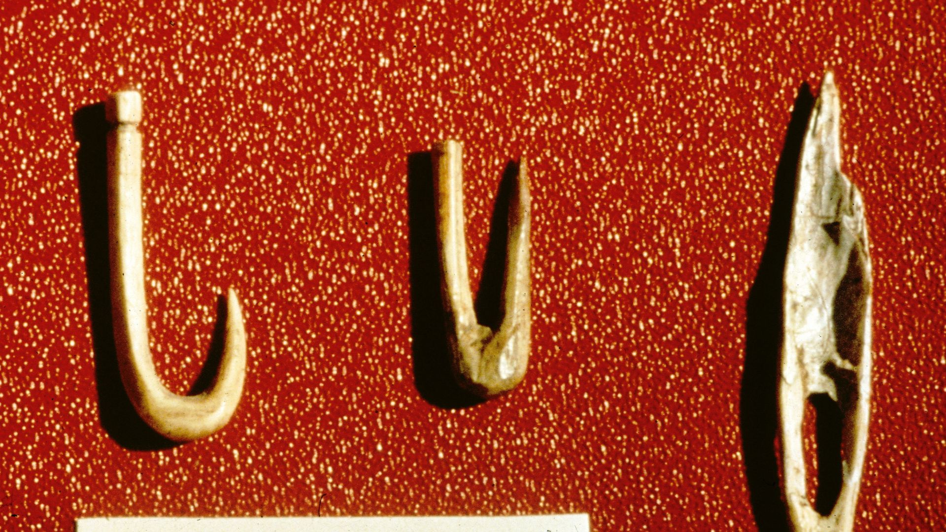 File:Bone fish hooks found at Russell Cave (480267bb-9e03-499a-bb8f-b07650274e30).jpg
