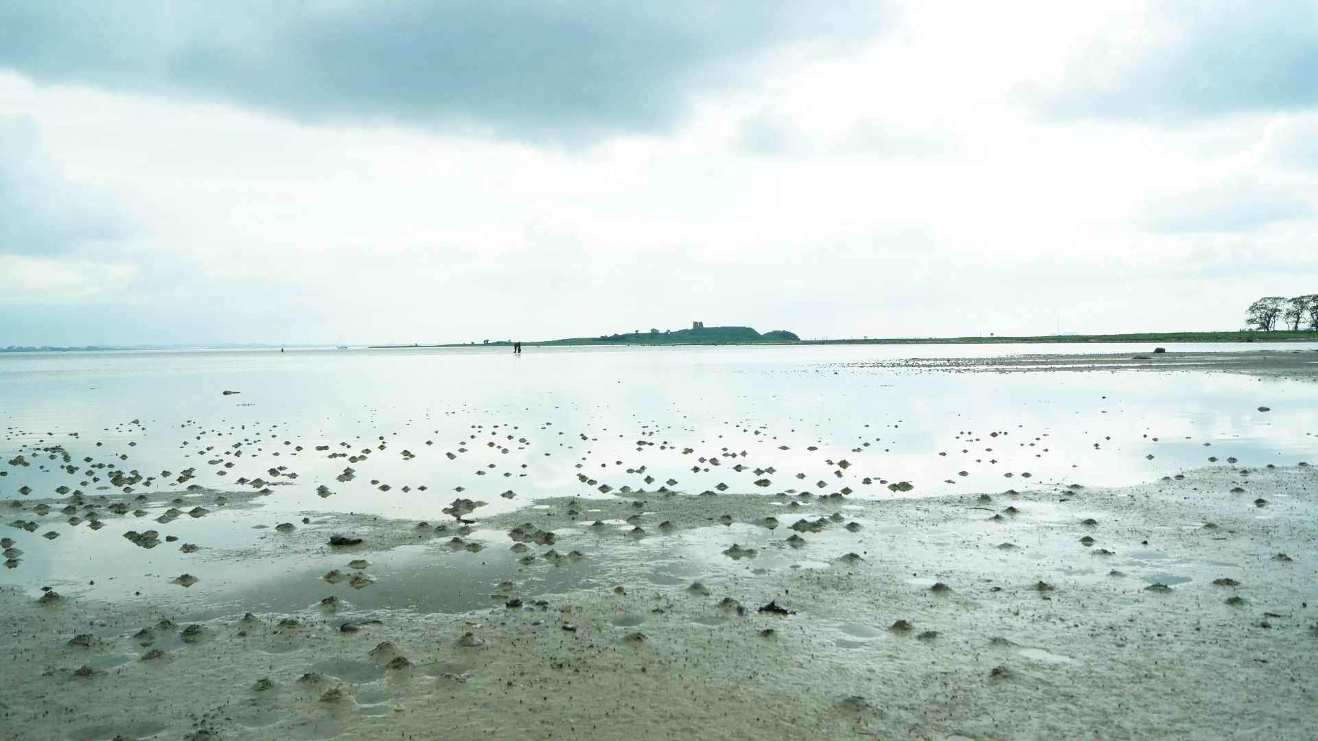 File:Egens Vig, lavvande, sandorm.JPG