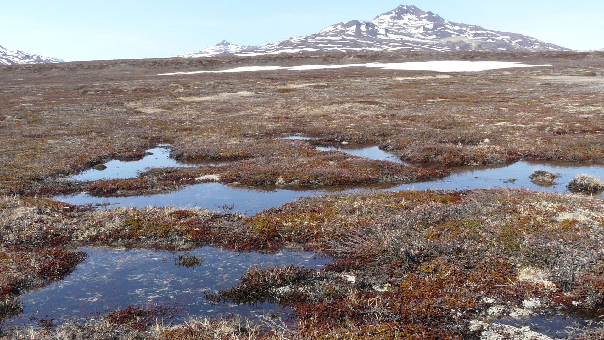 File:Greenltwo 032 0.jpg