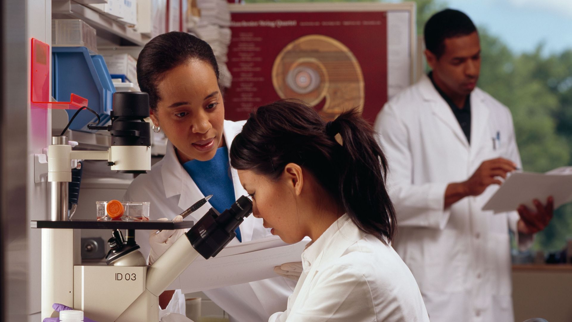 File:Researchers in laboratory.jpg