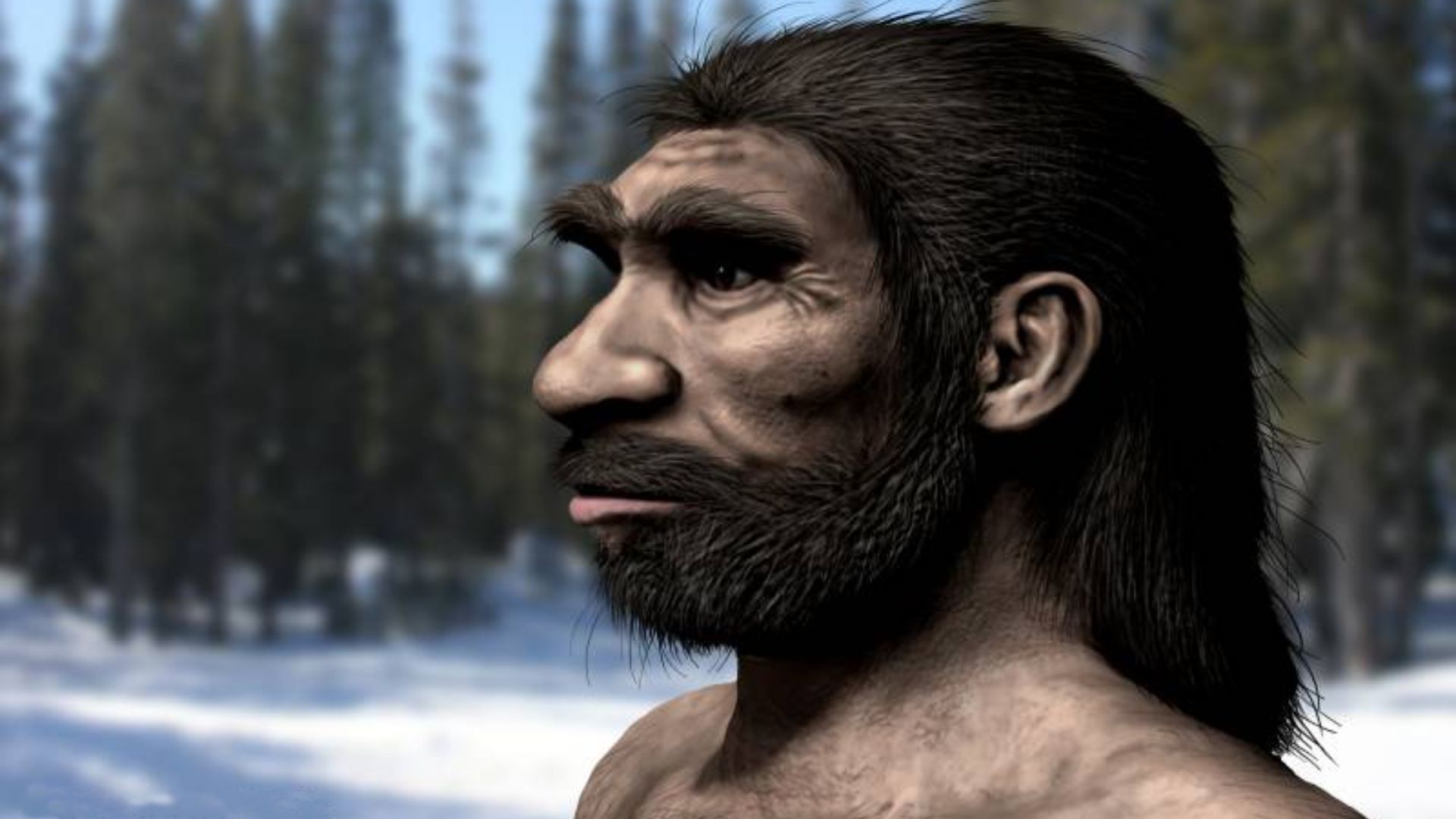 File:Homo longi NT.jpg