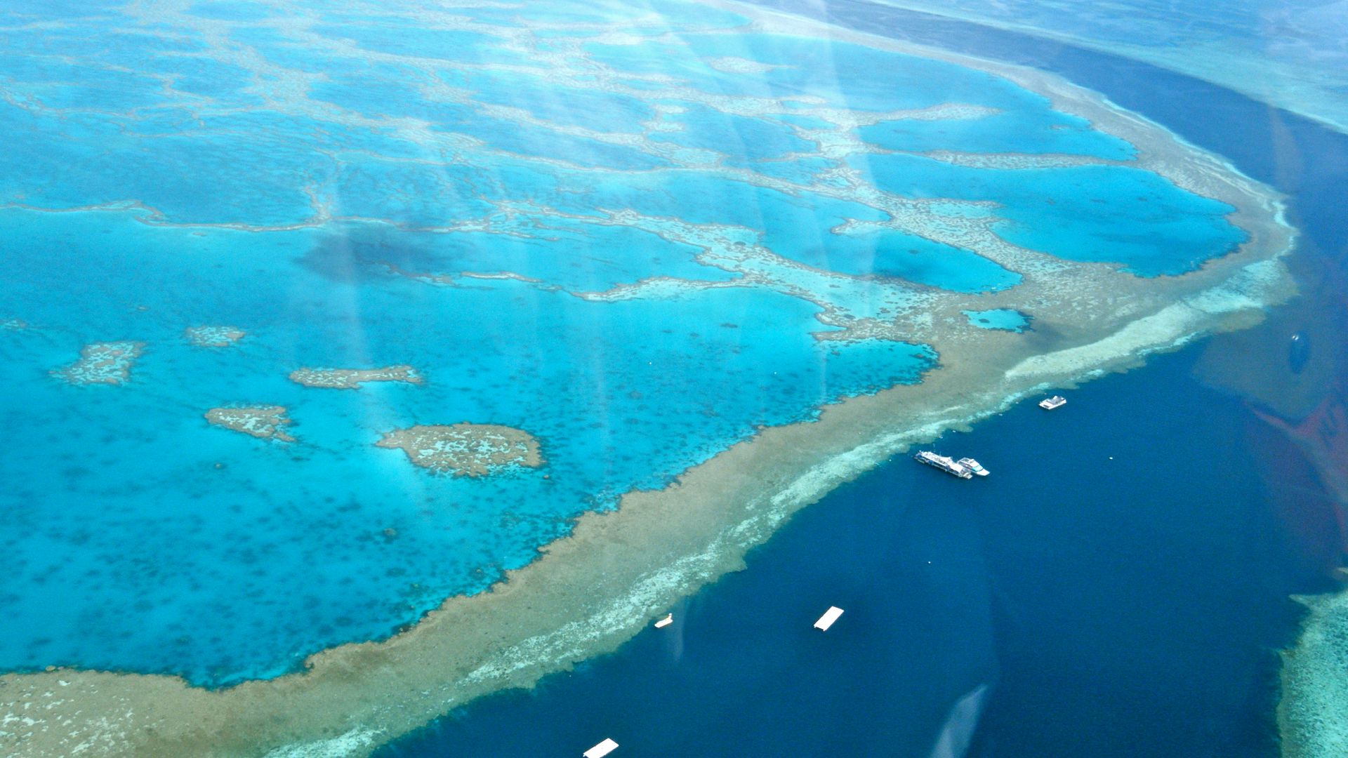 File:Amazing Great Barrier Reef 1.jpg