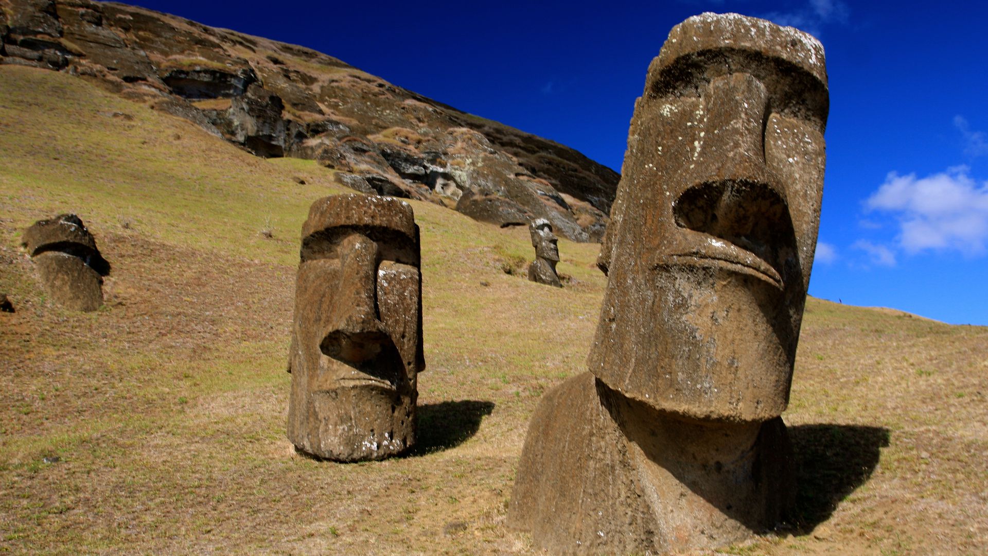 File:Moai at Rano Raraku - Easter Island (5956405378).jpg