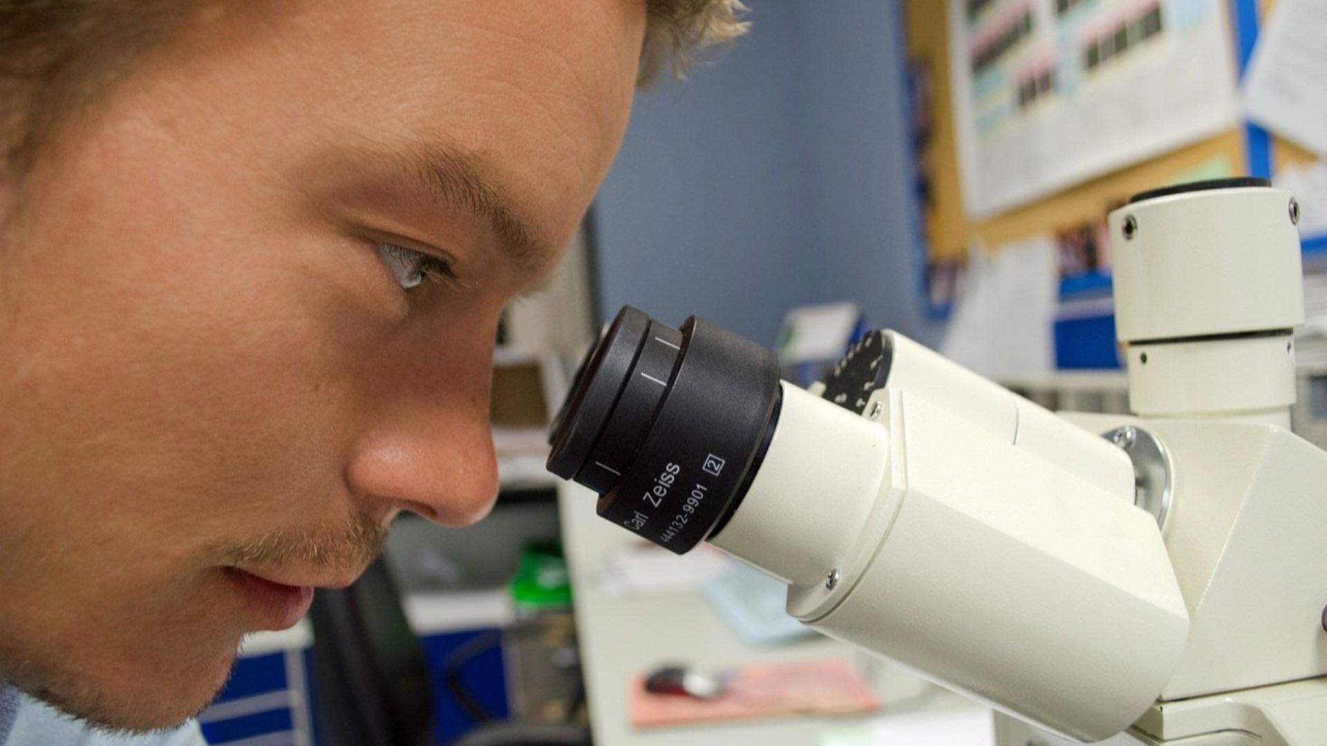 PublicDomainPictures