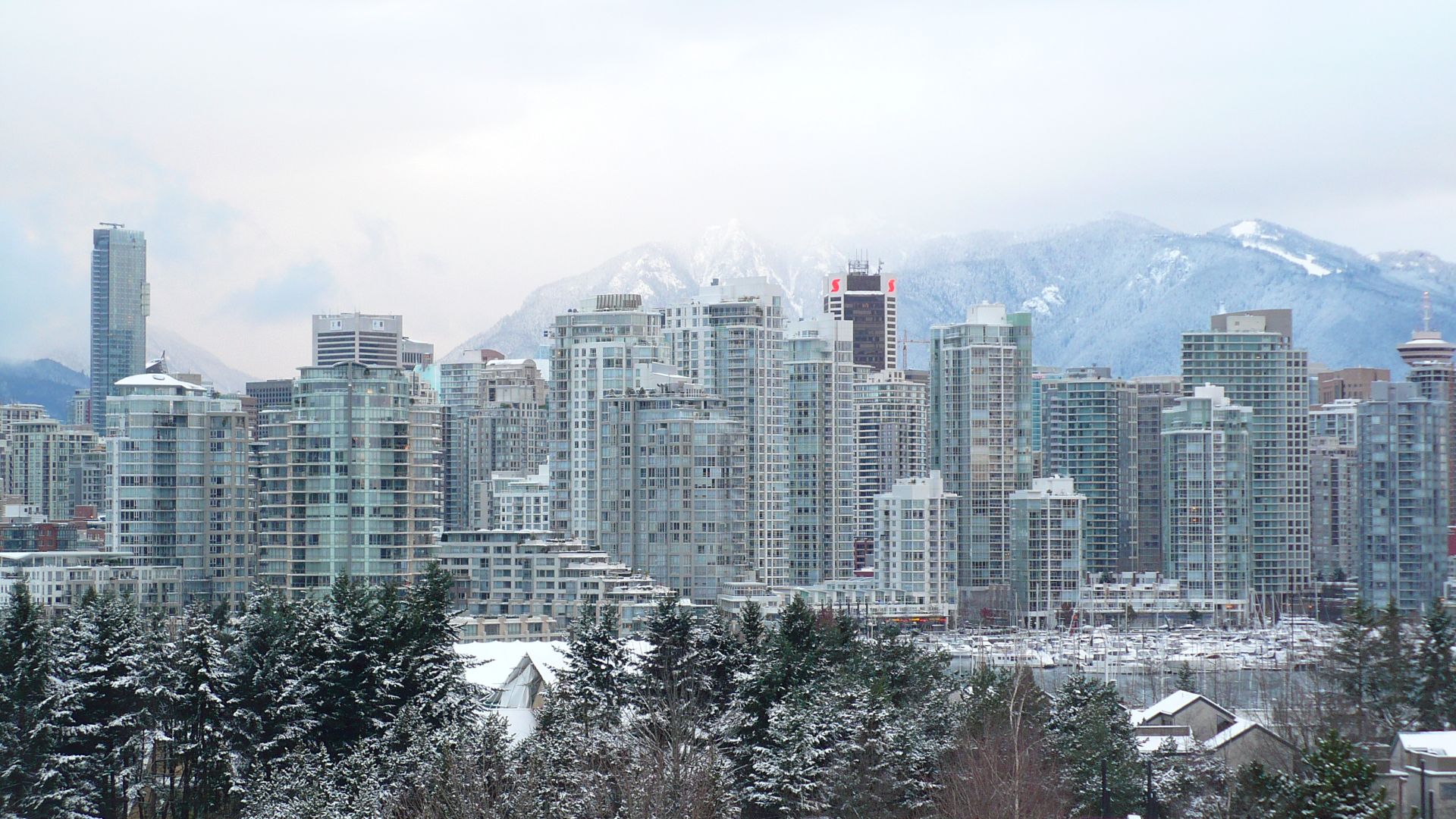 File:Vancouver in snow - panoramio.jpg