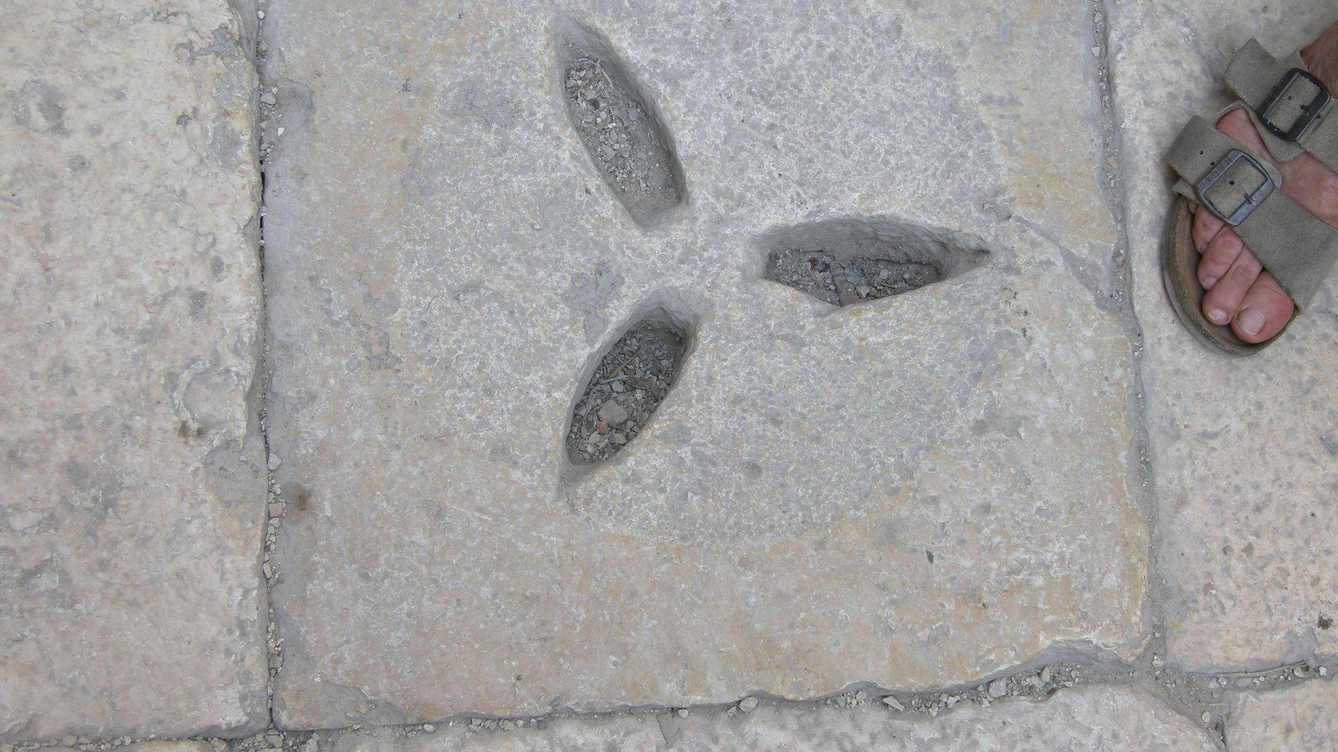 File:City of davidDSCN4612.JPG