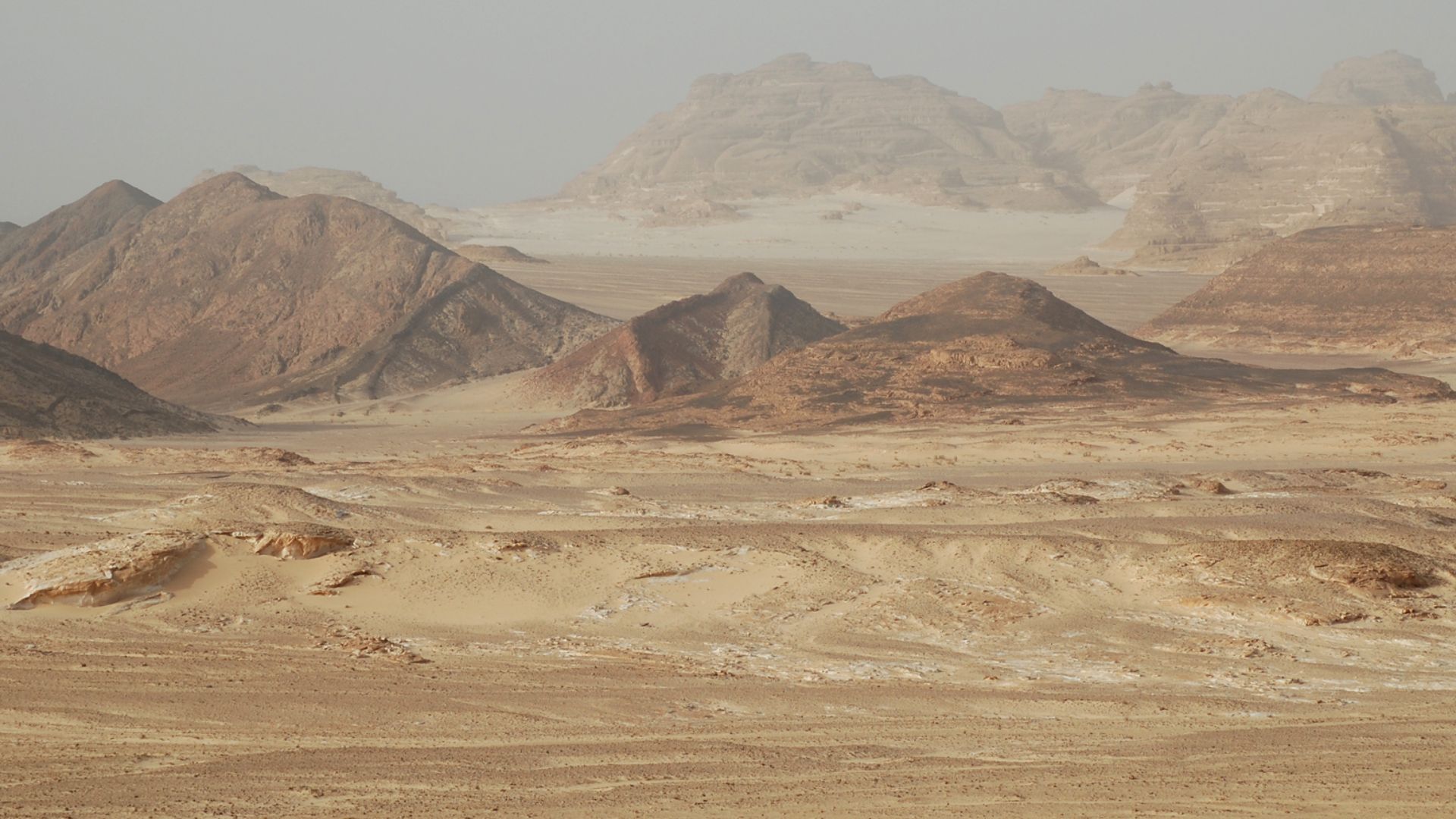 File:Sinai desert.jpg