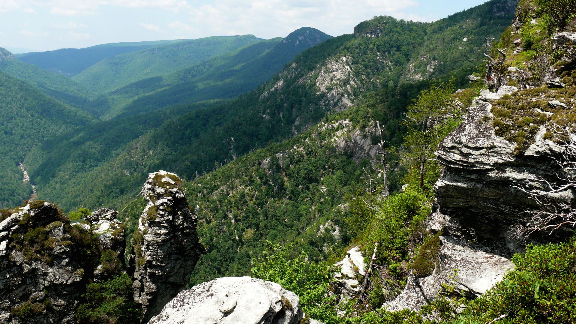 File:Linville Gorge-27527-5.jpg