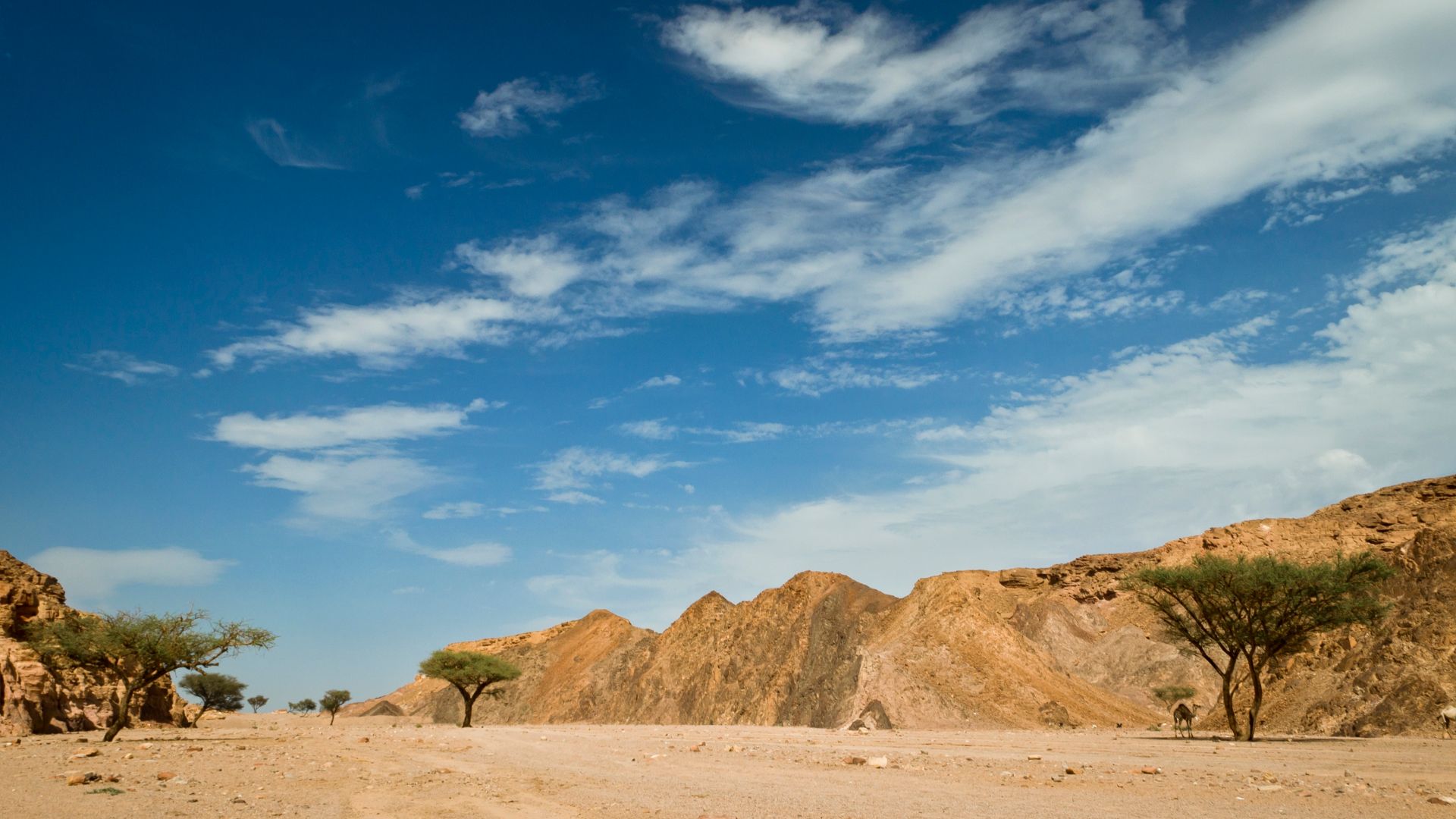 File:Sinai - Egypt.jpg