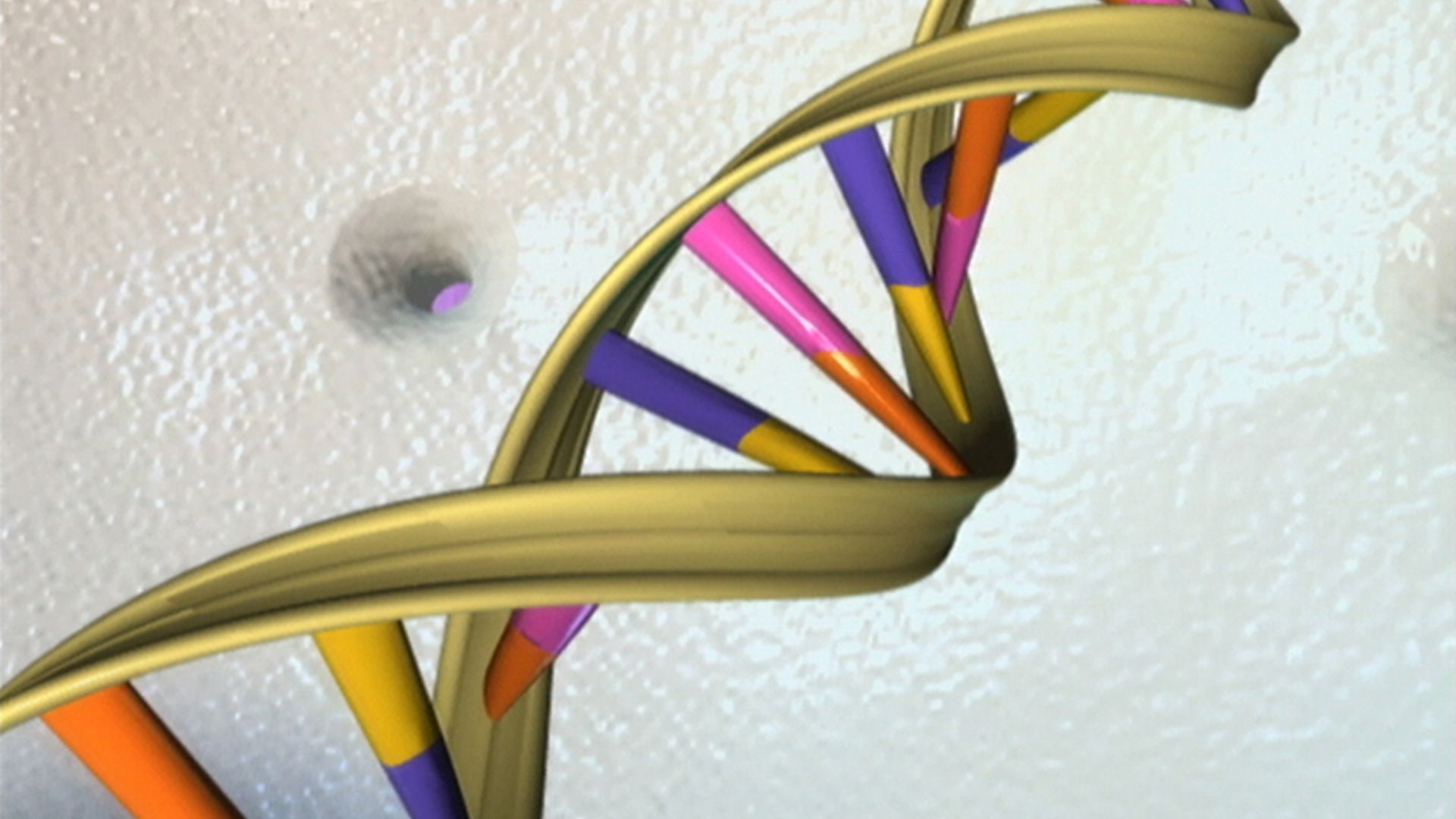 File:DNA Double Helix by NHGRI.jpg