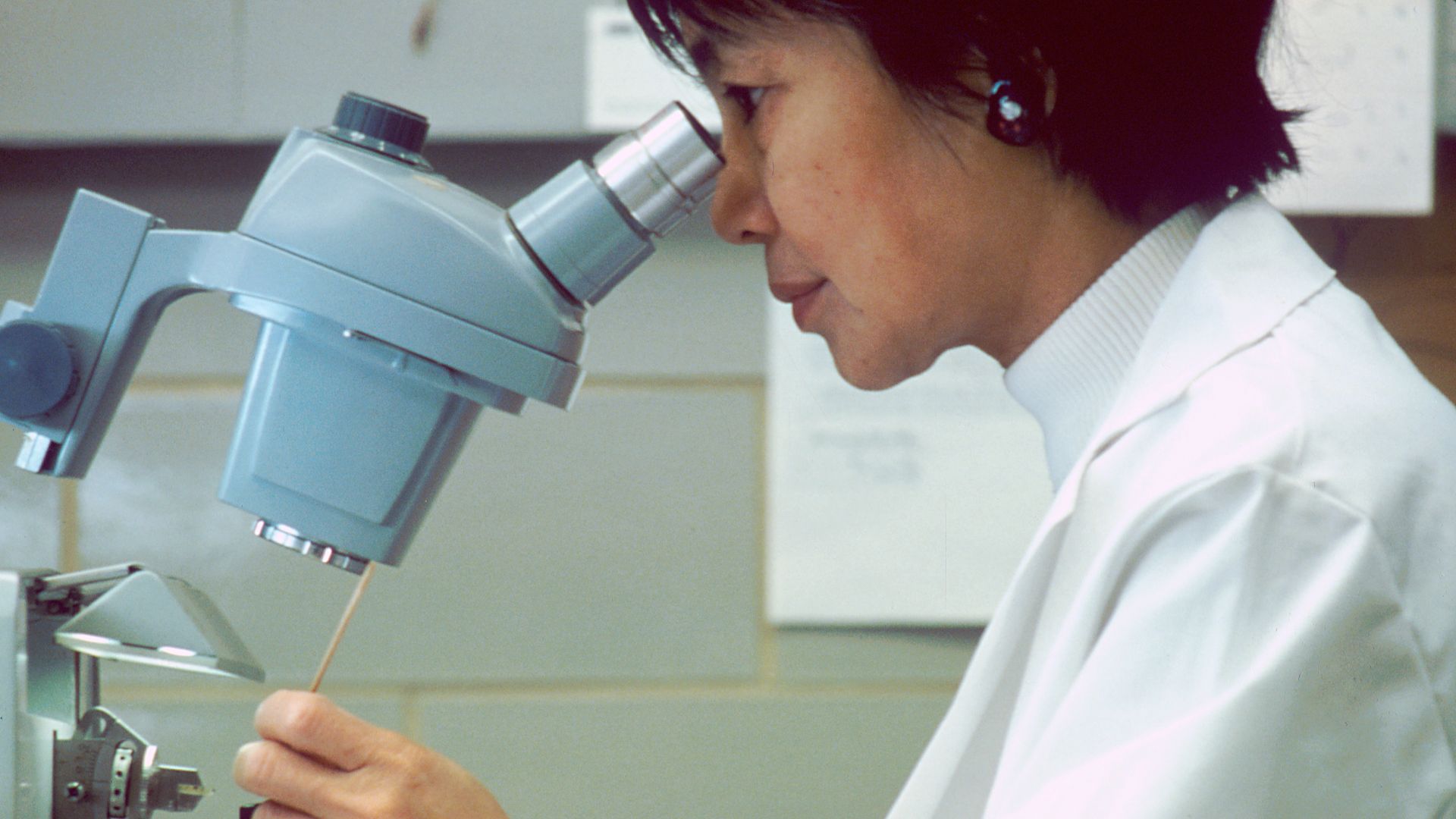 File:Scientist looking thorugh microscope.jpg