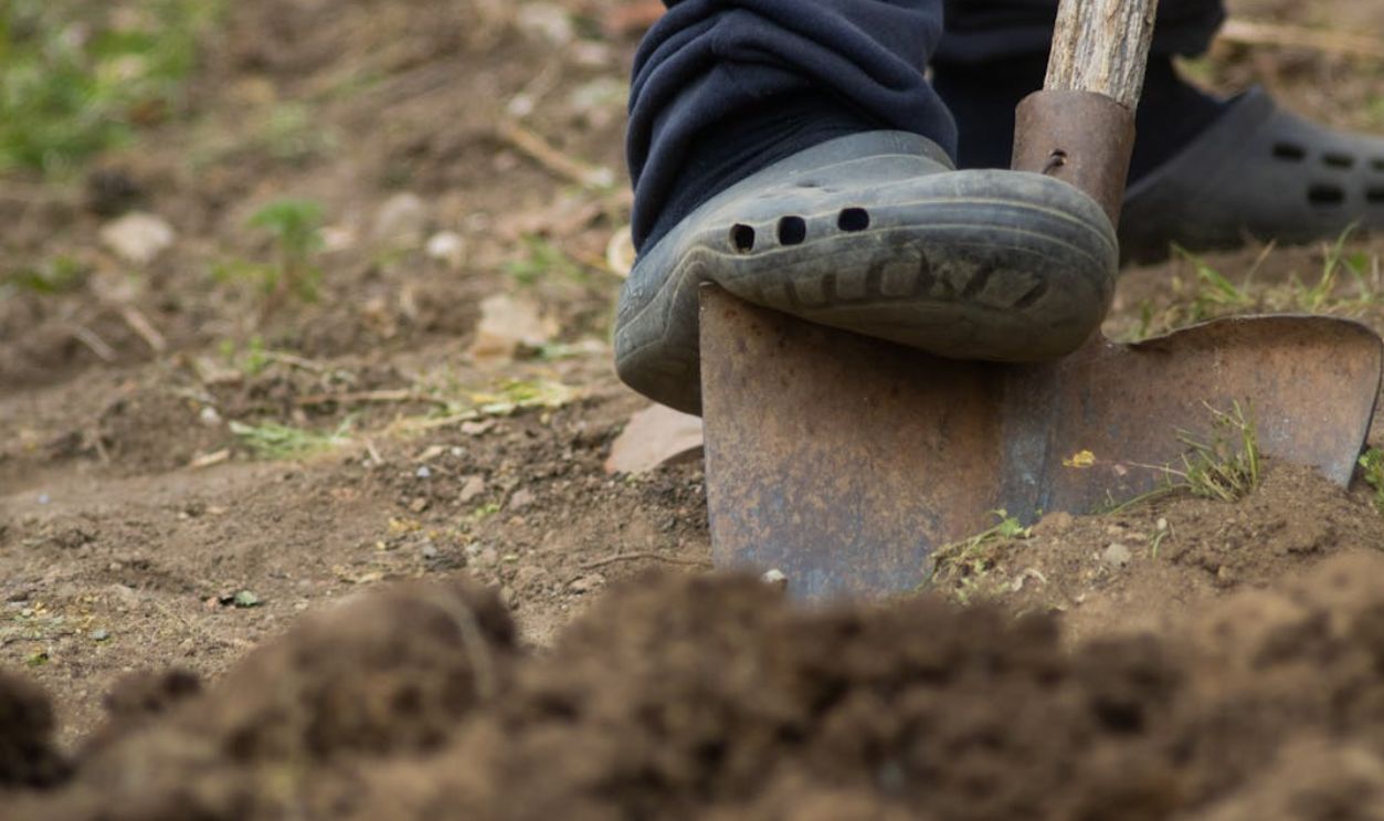 Unexpected Discovery