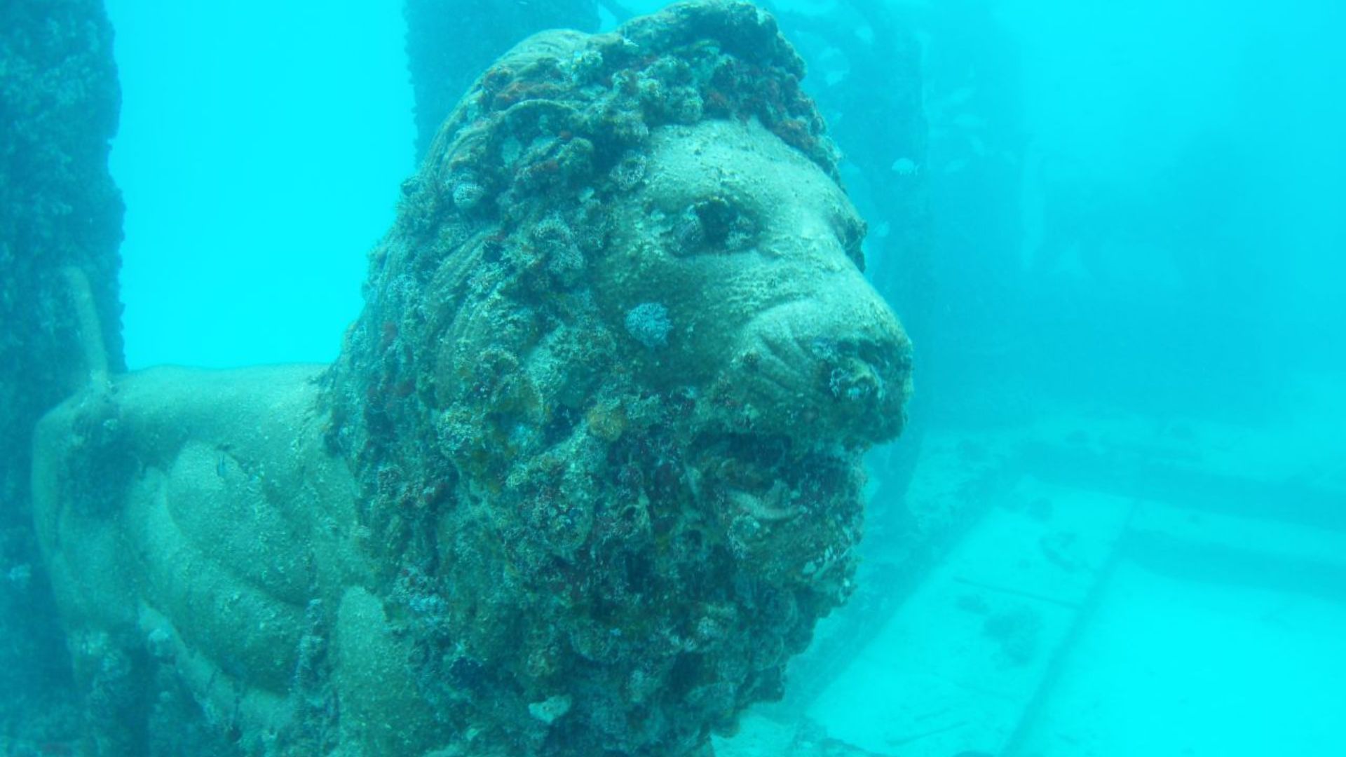 File:Neptune memorial reef 05.jpg