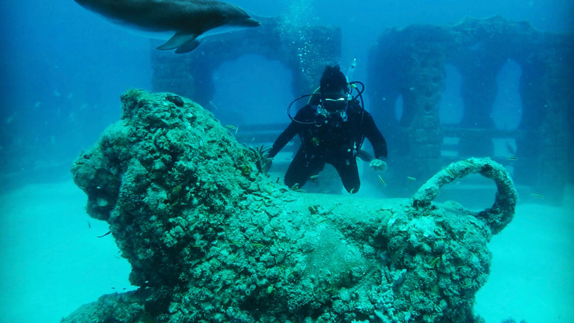 File:Abhishek with Dolphins at Neptune Memorial Miami.jpg