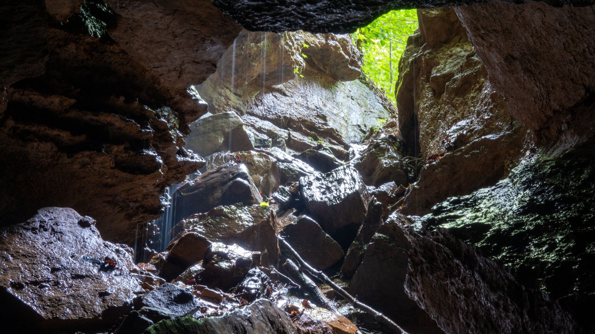 File:Looking out of Ellison’s Cave.jpg