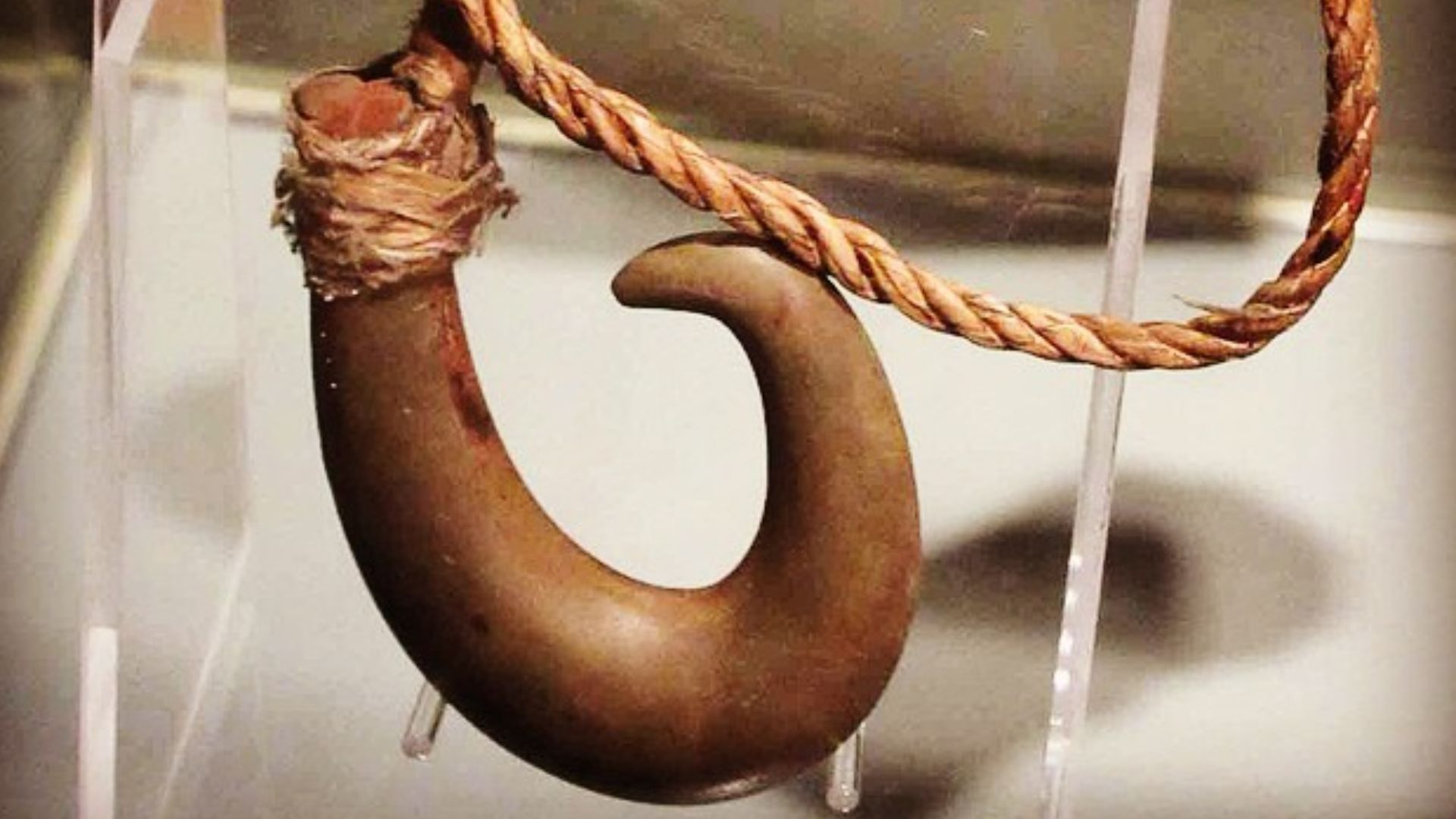 File:Stone fish hook with fibre trace (16823623159).jpg