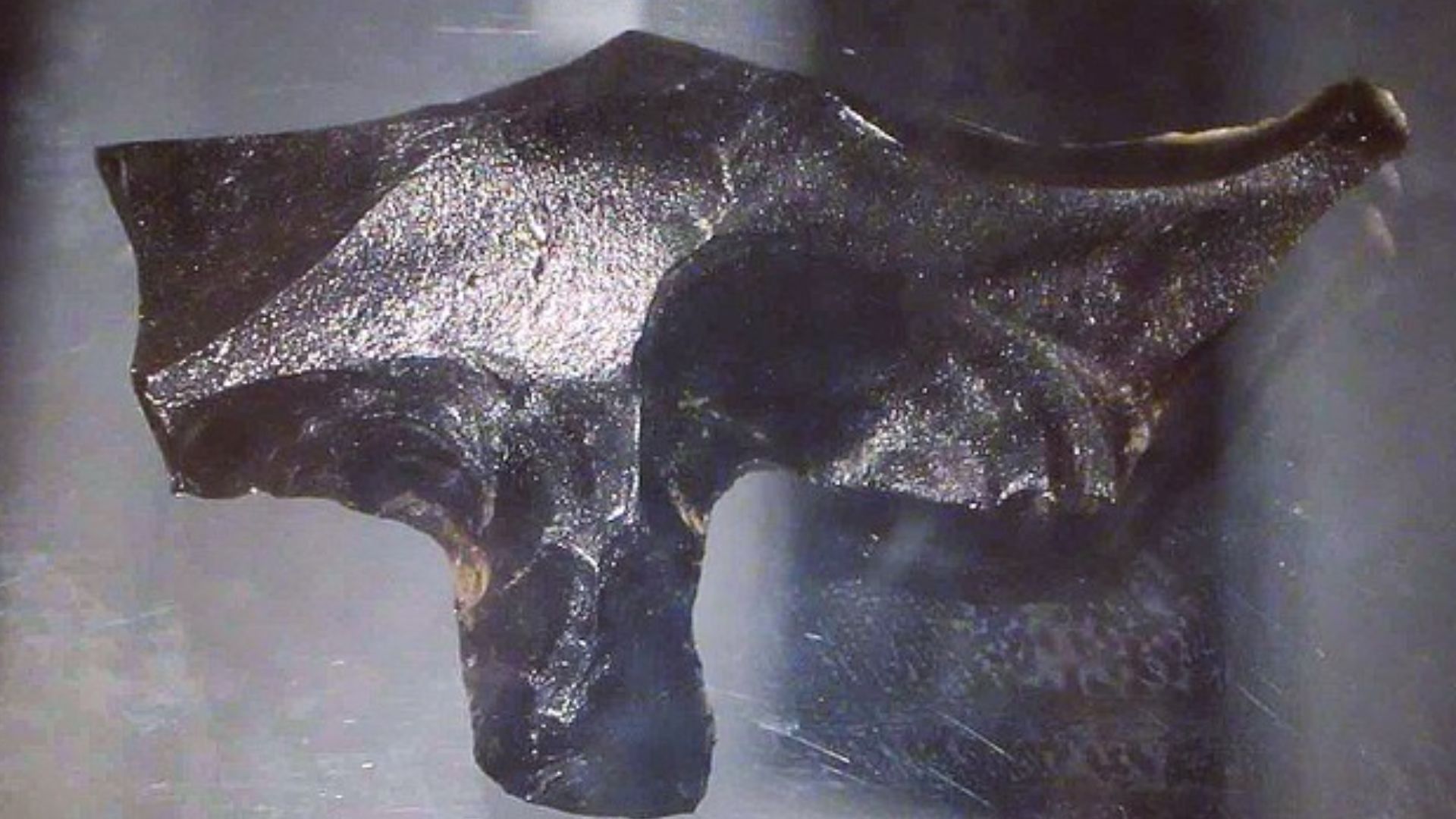 File:Obsidian 'mata'a' (16872132400).jpg