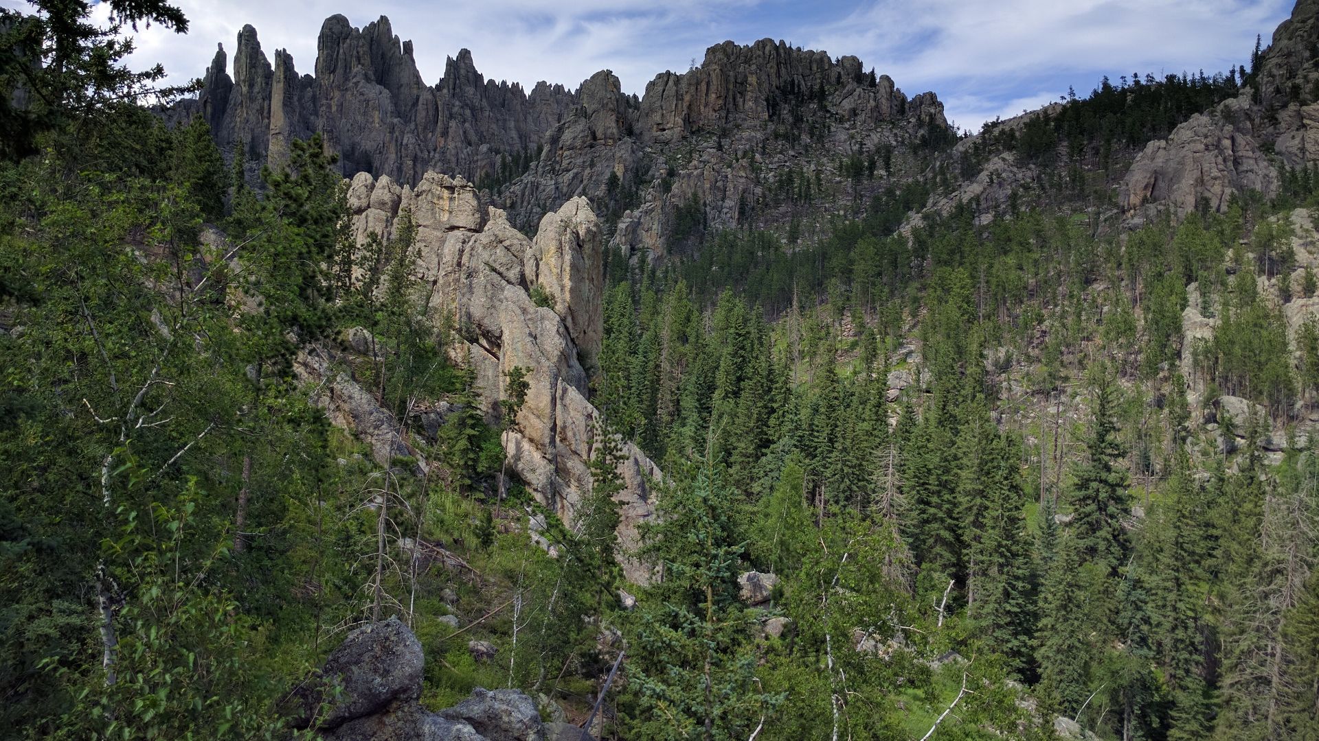 File:Needles Highway 05.jpg