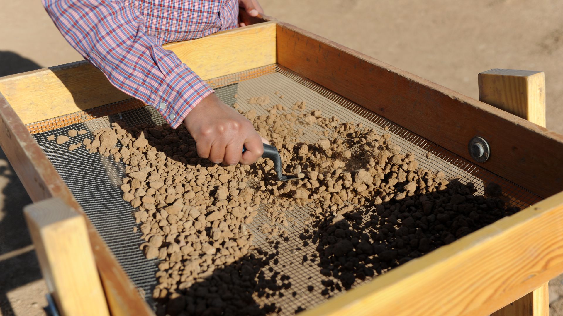 File:Archaeology dirt screening.jpg